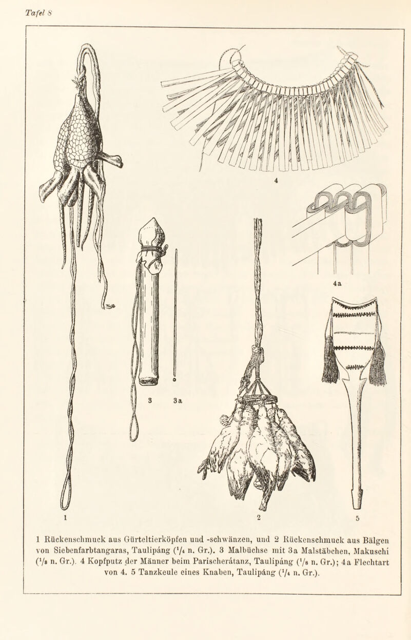 1 Riickenschmuck aus Gürteltierköpfen und -schw änzen, und 2 Rückenschmuck aus Bälgen von Siebenfarbtangaras, Taulipang ('/* n. Gr.). 3 Malbüchse mit 3a Malstäbchen, Makuschi (Vs n. Gr.). 4 Kopfputz der Männer beim Parischeratanz, Taulipang ('/» n. Gr.); 4a Flechtart