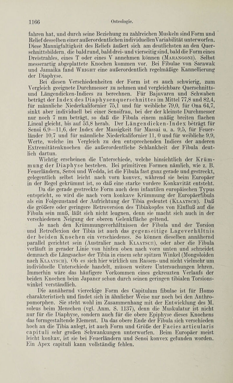 fahren hat, und (lurch seine Beziehung zu zahlreichen Muskeln sindForm und Relief desselben einer auBerordentlichenindividuellenYariabilitat unterworfen. Diese Mannigfaltigkeit des Reliefs auBert sich am deutlichsten an den Quer- schnittsbildern, die baldrund, bald drei- und vierseitig sind, bald die Form eines Dreistrahles, eines T oder eines Y annehmen konnen (Marangoni). Selbst messerartig abgeplattete Knochen kommen vor. Bei Fibulae von Sarawak und Jamaika fancl Wright eine auBerordentlich regelmaBige Kannellierung der Diaphyse. Bei diesen Yerschiedenheiten der Form ist es auch schwierig, zum Yergleich geeignete Durchmesser zu nehmen und vergleichbare Querschnitts- und Langendicken-Indices zu berechnen. Fur Bajuvaren und Schwaben betragt der Index des Diaphysenquerschnittes im Mittel 77,8 und 82,4, fiir mannliche Niederkalifornier 75,1 und fiir weibliche 79,0, fur Ona 64,7, sinkt aber individuell bei einer Senoifrau, bei der der kleinste Durchmesser nur noch 7 mm betragt, so daB die Fibula einem maBig breiten flachen Lineal gleicht, bis auf 53,8 herab. Der Langendicken-Index betragt fiir Senoi 6,9—11,6, der Index der Massigkeit fiir Massai u. a. 9,5, fiir Feuer- lander 10,7 und fiir mannliche Niederkalifornier 11, 0 und fiir weibliche 9,9, Werte, welche im Yergleich zu den entsprechenden Indices der anderen Extremitatenknochen die auBerordentliche Schlankheit der Fibula deut- lich dartun. Wichtig erscheinen die Unterschiede, welche hinsichtlich der Kriim- mung der Diaphyse bestehen. Bei primitiven Formen namlich, wie z. B. Feuerlandern, Senoi und Wedda, ist die Fibula fast ganz gerade und gestreckt, gelegentlich selbst leicht nach vorn konvex, wahrend sie beim Europaer in der Regel gekriimmt ist, so daB eine starke vordere Konkavitat entsteht. Da die gerade gestreckte Form auch dem infantilen europaischen Typus entspricht, so wird die nach vorn konkave Kriimmung der Europaerfibula als ein Folgezustand der Aufrichtung der Tibia gedeutet (Klaatsch). DaB die groBere oder geringere Retroversion des Tibiakopfes von EinfluB auf die Fibula sein muB, laBt sich nicht leugnen, denn sie macht sich auch in der verschiedenen Neigung der oberen Gelenkflache geltend. Je nach den Krummungsverhaltnissen der Fibula und der Torsion und Retroflexion der Tibia ist auch das gegenseitige Lageverhaltnis der beiden Knochen ein verschiedenes. So konnen dieselben annahernd parallel gerichtet sein (Australier nach Klaatsch), oder aber die Fibula verlauft in gerader Linie von hiriten oben nach vorn unten und schneidet clemnach die Langsachse der Tibia in einem sehr spitzen Winkel (Mongoloiden nach Klaatsch). Ob es sich hier wirklich um Rassen- und nicht vielmehr um individuelle Unterschiede handelt, miissen weitere Untersuchungen lehren. Immerhin ware das haufigere Vorkommen eines gekreuzten Verlaufs der beiden Knochen beim Japaner sclion durch seinen geringen tibialen Torsions- winkel verstandlich. Die annahernd viereckige Form des Capitulum fibulae ist fiir Homo charakteristisch und findet sich in ahnlicher Weise nur noch bei den Anthro- pomorphen. Sie steht wolil im Zusammenhang mit der Entwicklung des M. soleus beim Menschen (vgl. Anm. S. 1137), denn die Muskulatur ist nicht nur fiir die Diaphyse, sondern auch fiir die obere Epiphyse dieses Knochens das formgestaltende Element. Da das obere Ende der Fibula sich verschieden hoch an die Tibia anlegt, ist auch Form und GroBe der Facies articularis capituli sehr groBen Schwankungen unterworfen. Beim Europaer meist leicht konkav, ist sie bei Feuerlandern und Senoi konvex gefunden worden. Ein Apex capituli kann vollstandig fehlen.