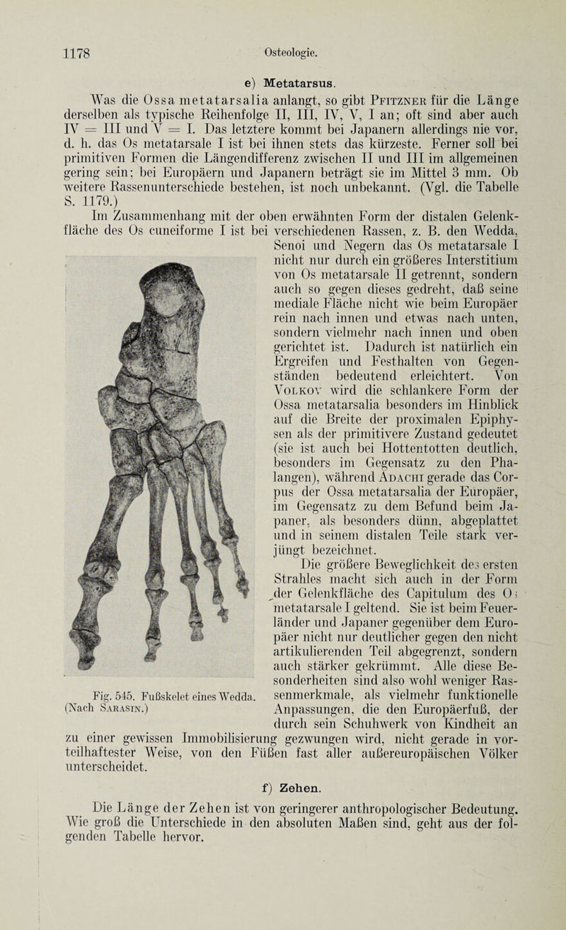 e) Metatarsus. Was die Ossa metatars alia anlangt, so gibt Pfitzner fiir die Lange derselben als typische Reihenfolge II, III, IV, Y, I an; oft sind aber auch IV = III und V = I. Das letztere kommt bei Japanern allerdings nie vor, d. h. das Os metatarsale I ist bei ihnen stets das kiirzeste. Ferner soil bei primitiven Formen die Langendifferenz zwischen II und III im allgemeinen gering sein; bei Europaern und Japanern betragt sie im Mittel 3 mm. Ob weitere Rassenunterschiede bestehen, ist noch unbekannt. (Vgl. die Tabelle S. 1179.) Im Zusammenhang mit der oben erwahnten Form der distalen Gelenk- flache des Os cuneiforme I ist bei verschiedenen Rassen, z. B. den Wedda, Senoi und jNegern das Os metatarsale I nicht nur durch ein groBeres Interstitium von Os metatarsale II getrermt, sondern auch so gegen dieses gedreht, daB seine mediale Flache nicht wie beim Europaer rein nach innen und etwas nach unten, sondern vielmehr nach innen und oben gerichtet ist. Dadurch ist naturlich ein Ergreifen und Festhalten von Gegen- standen bedeutend erleichtert. Von Volkov wird die schlankere Form der Ossa metatarsalia besonders im Hinblick auf die Breite der proximalen Epiphy- sen als der primitivere Zustand gedeutet (sie ist auch bei Hottentotten deutlich, besonders im Gegensatz zu den Pha- langen), wahrend Adachi gerade das Cor¬ pus der Ossa metatarsalia der Europaer, im Gegensatz zu dem Befund beim Ja- paner, als besonders diinn, abgeplattet und in seinem distalen Teile stark ver- jiingt bezeichnet. Die groBere Beweglichkeit des ersten Strahles niacht sich auch in der Form ^der Gelenkflache des Capitulum des Oi metatarsale I geltend. Sie ist beim Feuer- lander und Japaner gegeniiber dem Euro¬ paer nicht nur deutlicher gegen den nicht artikulierenden Teil abgegrenzt, sondern auch starker gekriimmt. Alle diese Be- sonderheiten sind also wohl weniger Ras- Fig. 545. Fufiskelet eines Wedda, senmerkmale, als vielmehr funktionelle (Nach Sarasin.) Anpassungen, die den EuropaerfuB, der durch sein Schuhwerk von Kindheit an zu einer gewissen Immobilisierung gezwungen wird, nicht gerade in vor- teilhaftester Weise, von den FiiBen fast aller auBereuropaischen Volker unterscheidet. f) Zehen. Die Lange der Zehen ist von geringerer anthropologischer Bedeutung. Wie groB die Unterschiede in den absoluten MaBen sind, geht aus der fol- genden Tabelle hervor.