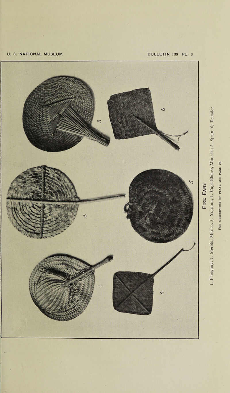 Paraguay; 2, Merida, Mexico; 3, Yucatan; 4, Cape Blanco, Morocco; 5, Spain; 6, Ecuador