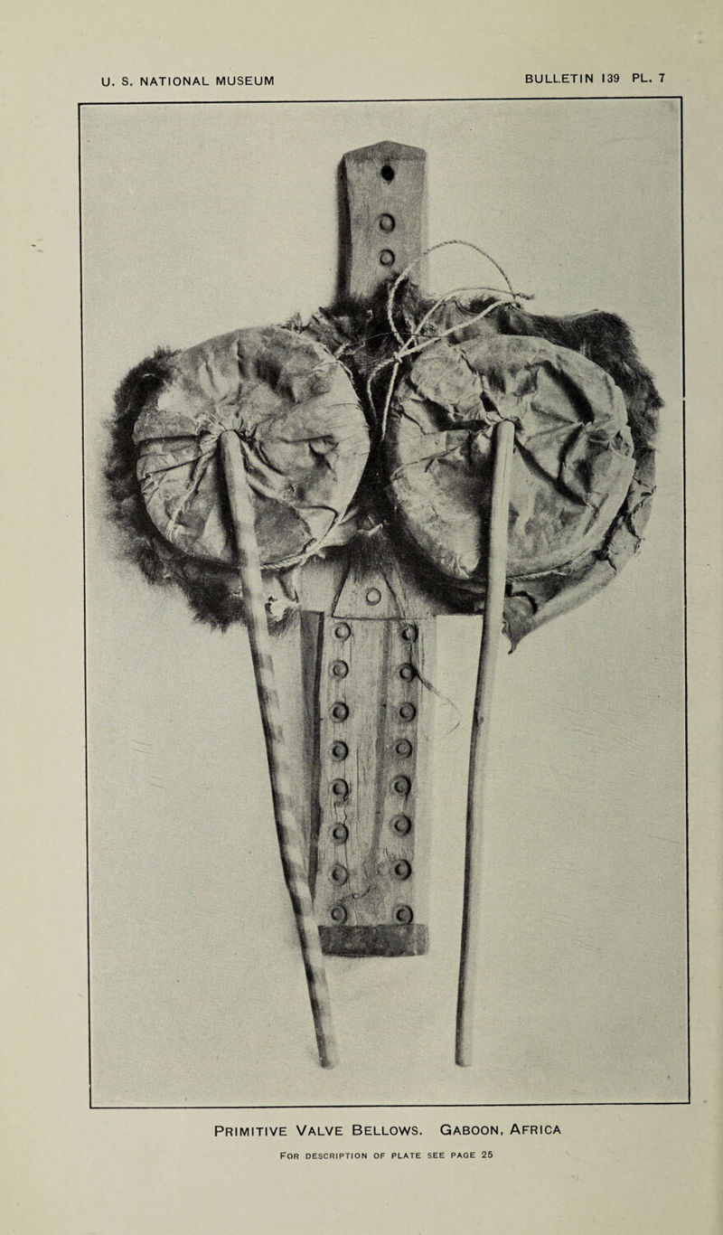 Primitive Valve Bellows. Gaboon, Africa