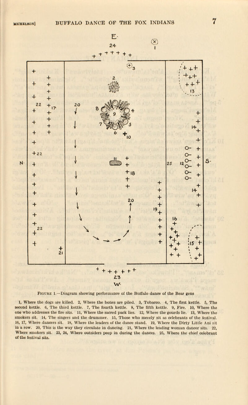 E- -t 24 I W- Figuke 1.—Diagram showing performance of the Buffalo dance of the Bear gens 1, Where the dogs are killed. 2, Where the bones are piled. 3, Tobacco. 4, The first kettle. 5, The second kettle. 6, The third kettle. 7, The fourth kettle. 8, The fifth kettle. 9, Fire. 10, Where the one who addresses the fire sits. 11, Where the sacred pack lies. 12, Where the gourds lie. 13, Where the smokers sit. 14, The singers and the drummer. 15, Those who meiely sit as celebrants of the festival. 16, 17, Where dancers sit. 18, Where the leaders of the dance stand. 19, Where the Dirty Little Ani sit in a row. 20, This is the way they circulate in dancing. 21, Where the leading woman dancer sits. 22, Where smokers sit. 23, 24, Where outsiders peep in daring the dances. 25, Where the chief celebrant of the festival sits.