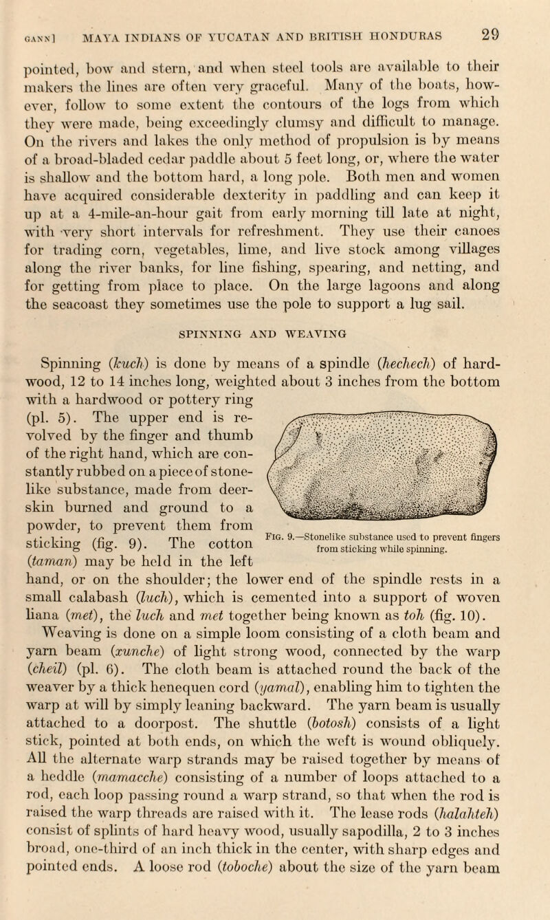 pointed, bow and stern, and when steel tools are available to their makers the lines are often very graceful. Many of the boats, how¬ ever, follow to some extent the contours of the logs from which they were made, being exceedingly clumsy and difficult to manage. On the rivers and lakes the only method of propulsion is by means of a broad-bladed cedar paddle about 5 feet long, or, where the water is shallow and the bottom hard, a long pole. Both men and women have acquired considerable dexterity in paddling and can keep it up at a 4-mile-an-hour gait from early morning till late at night, with very short intervals for refreshment. They use their canoes for trading corn, vegetables, lime, and live stock among villages along the river banks, for line fishing, spearing, and netting, and for getting from place to place. On the large lagoons and along the seacoast they sometimes use the pole to support a lug sail. SPINNING AND WEAVING Fig. 9.—Stonelike substance used to prevent fingers from sticking while spinning. Spinning (kuch) is done by means of a spindle (hechech) of hard¬ wood, 12 to 14 inches long, weighted about 3 inches from the bottom with a hardwood or pottery ring (pi. 5). The upper end is re¬ volved by the finger and thumb of the right hand, which are con¬ stantly rubbed on a piece of stone¬ like substance, made from deer¬ skin burned and ground to a powder, to prevent them from sticking (fig. 9). The cotton (tarnan) may be held in the left hand, or on the shoulder; the lower end of the spindle rests in a small calabash (Inch), which is cemented into a support of woven liana (met), the Inch and met together being known as toh (fig. 10). Weaving is done on a simple loom consisting of a cloth beam and yam beam (xunche) of light strong wood, connected by the warp (cheil) (pi. 6). The cloth beam is attached round the back of the weaver by a thick henequen cord (yamal), enabling him to tighten the warp at will by simply leaning backward. The yarn beam is usually attached to a doorpost. The shuttle (botosh) consists of a light stick, pointed at both ends, on which the weft is wound obliquely. All the alternate warp strands may be raised together by means of a heddle (mamacche) consisting of a number of loops attached to a rod, each loop passing round a warp strand, so that when the rod is raised the warp threads are raised with it. The lease rods (halahteh) consist of splints of hard heavy wood, usually sapodilla, 2 to 3 inches broad, one-third of fin inch thick in the center, with sharp edges and pointed ends. A loose rod (toboche) about the size of the yarn beam