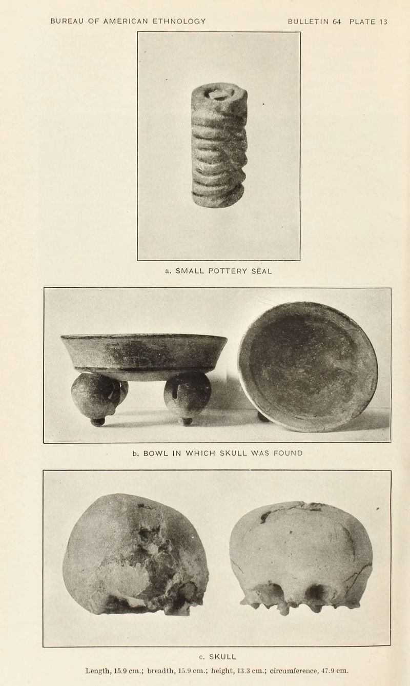 a. SMALL POTTERY SEAL b. BOWL IN WHICH SKULL WAS FOUND c. SKULL Length, 15.9 cm.; breadth, 15.9 cm.; height, 13.3 cm.; circumference, 47.9 cm.