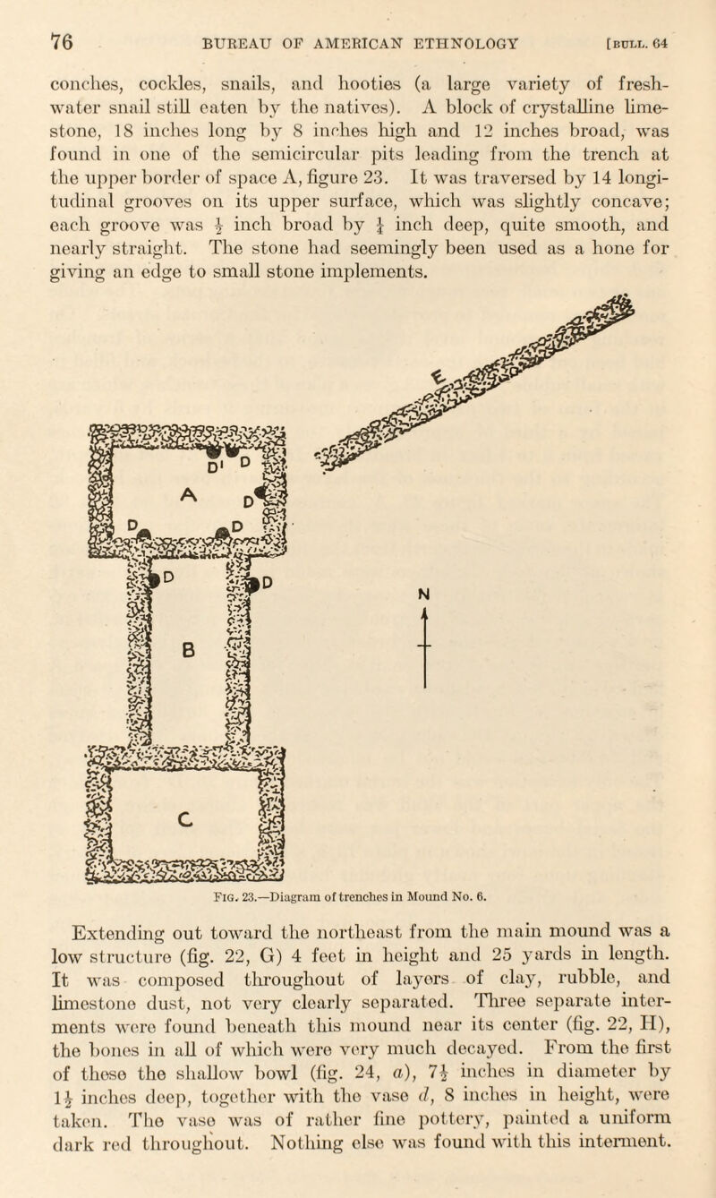 conches, cockles, snails, and booties (a large variety of fresh¬ water snail still eaten by the natives). A block of crystalline lime¬ stone, 18 inches long by 8 inches high and 12 inches broad, was found in one of the semicircular pits leading from the trench at the upper border of space A, figure 23. It was traversed by 14 longi¬ tudinal grooves on its upper surface, which was slightly concave; each groove was \ inch broad by I inch deep, quite smooth, and nearly straight. The stone had seemingly been used as a hone for giving an edge to small stone implements. Extending out toward the northeast from the main mound was a low structure (fig. 22, G) 4 feet in height and 25 yards in length. It was composed throughout of layers of clay, rubble, and limestone dust, not very clearly separated. Three separate inter¬ ments were found beneath this mound near its center (fig. 22, II), the bones in all of which were very much decayed. From the first of these the shallow bowl (fig. 24, a), 7$ inches in diameter by 1£ inches deep, together with the vase d, 8 inches in height, were taken. The vase was of rather fine pottery, painted a uniform dark red throughout. Nothing else was found with this interment.