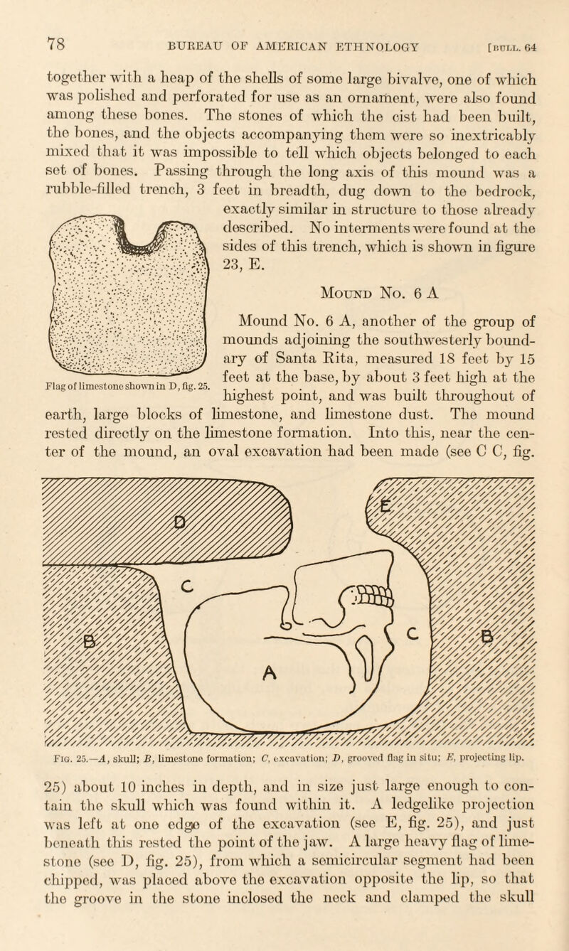 together with a heap of the shells of some large bivalve, one of which was polished and perforated for use as an ornament, were also found among these bones. The stones of which the cist had been built, the hones, and the objects accompanying them were so inextricably mixed that it was impossible to tell which objects belonged to each set of bones. Passing through the long axis of this mound was a rubble-filled trench, 3 feet in breadth, dug down to the bedrock, exactly similar in structure to those already described. No interments were found at the sides of this trench, which is shown in figure 23, E. Mound No. 6 A Mound No. 6 A, another of the group of mounds adjoining the southwesterly bound¬ ary of Santa Rita, measured 18 feet by 15 feet at the base, by about 3 feet high at the highest point, and was built throughout of earth, large blocks of limestone, and limestone dust. The mound rested directly on the limestone formation. Into this, near the cen¬ ter of the mound, an oval excavation had been made (see C C, fig. Flag of limestone shown in D, fig. 25. Fig. 25.—A, skull; B, limestone formation; C, excavation; X>, grooved flag in situ; E, projecting lip. 25) about 10 inches in depth, and in size just large enough to con¬ tain the skull which was found within it. A ledgelike projection was left at one edge of the excavation (see E, fig. 25), and just beneath this rested the point of the jaw. A large heavy flag of lime¬ stone (see D, fig. 25), from which a semicircular segment had been chipped, was placed above the excavation opposite the lip, so that the groove in the stono inclosed the neck and clamped the skull