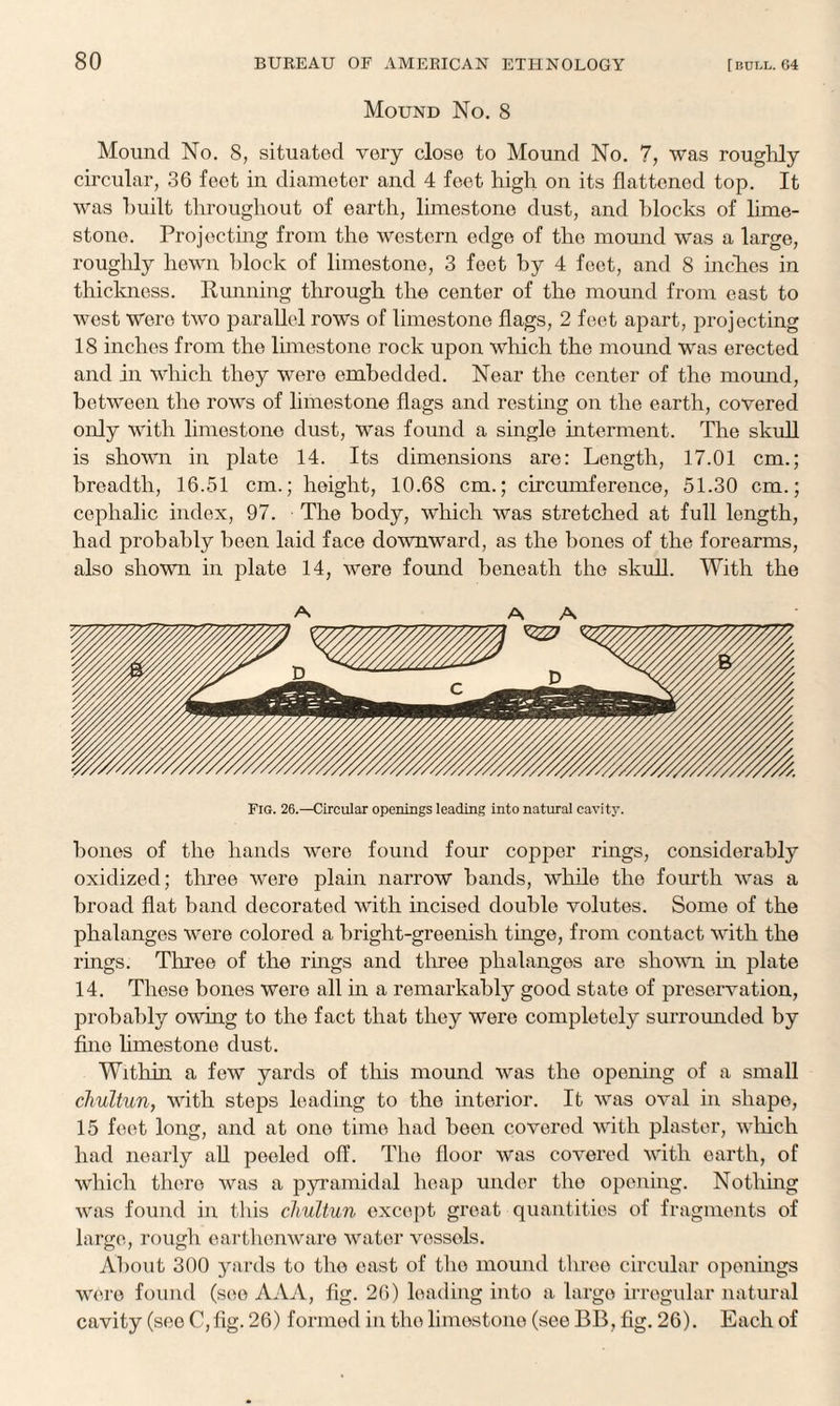 Mound No. 8 Mound No. 8, situated very close to Mound No. 7, was roughly circular, 36 feet in diameter and 4 feet high on its flattened top. It was huilt throughout of earth, limestone dust, and blocks of lime¬ stone. Projecting from the western edge of the mound was a large, roughly hewn block of limestone, 3 feet by 4 feet, and 8 inches in thickness. Running through the center of the mound from east to west Were two parallel rows of limestone flags, 2 feet apart, projecting 18 inches from the limestone rock upon which the mound was erected and in which they were embedded. Near the center of the mound, between the rows of limestone flags and resting on the earth, covered only with limestone dust, was found a single interment. The skull is shown in plate 14. Its dimensions are: Length, 17.01 cm.; breadth, 16.51 cm.; height, 10.68 cm.; circumference, 51.30 cm.; cephalic index, 97. The body, which was stretched at full length, had probably been laid face downward, as the hones of the forearms, also shown in plate 14, were found beneath the skull. With the A A A Fig. 26.—Circular openings leading into natural cavity. hones of the hands were found four copper rings, considerably oxidized; three were plain narrow hands, while the fourth was a broad flat hand decorated with incised double volutes. Some of the phalanges were colored a bright-greenish tinge, from contact with the rings. Three of the rings and three phalanges are shown in plate 14. These bones were all in a remarkably good state of preservation, probably owing to the fact that they were completely surrounded by fine limestone dust. Within a few yards of this mound was the opening of a small chultun, with steps leading to the interior. It was oval in shape, 15 feet long, and at ono time had been covered with plaster, which had nearly all peeled off. The floor was covered with earth, of which there was a pyramidal heap under the opening. Nothing was found in this chultun except great quantities of fragments of large, rough earthenware water vessels. About 300 yards to the east of the mound three circular openings were found (see AAA, fig. 26) loading into a large irregular natural cavity (see C, fig. 26) formed in the limestone (see BB, fig. 26). Each of