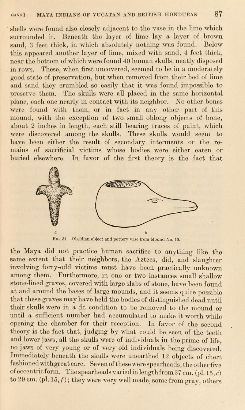 shells were found also closely adjacent to the vase in the lime which surrounded it. Beneath the layer of lime lay a layer of brown sand, 3 feet thick, in which absolutely nothing was found. Below this appeared another layer of lime, mixed with sand, 4 feet thick, near the bottom of which were found 40 human skulls, neatly disposed in rows. These, when first uncovered, seemed to bo in a moderately good state of preservation, but when removed from their bed of lime and sand they crumbled so easily that it was found impossible to preserve them. The skulls were all placed in the same horizontal plane, each one nearly in contact with its neighbor. No other bones were found with them, or in fact in any other part of this mound, with the exception of two small oblong objects of bone, about 2 inches in length, each still bearing traces of paint, which were discovered among the skulls. These skulls would seem to have been either the result of secondary interments or the re¬ mains of sacrificial victims whose bodies were either eaten or buried elsewhere. In favor of the first theory is the fact that Fig. 31.—Obsidian object and pottery vase from Mound No. 10. the Maya did not practice human sacrifice to anything like the same extent that their neighbors, the Aztecs, did, and slaughter involving forty-odd victims must have been practically unknown among them. Furthermore, in one or two instances small shallow stone-lined graves, covered with large slabs of stone, have been found at and around the bases of large mounds, and it seems quite possible that these graves may have held the bodies of distinguished dead until their skulls were in a fit condition to be removed to the mound or until a sufficient number had accumulated to make it worth while opening the chamber for their reception. In favor of the second theory is the fact that, judging by what could be seen of the teeth and lower jaws, all the skulls were of individuals in the prime of life, no jaws of very young or of very old individuals being discovered. Immediately beneath the skulls were unearthed 12 objects of chert fashioned with great care. Seven of these were spearheads, theotherfive of eccentric form. The spearheads varied in length from 37 cm. (pi. 15, c) to 29 cm. (pi. 15,/); they were very well made, some from gray, others