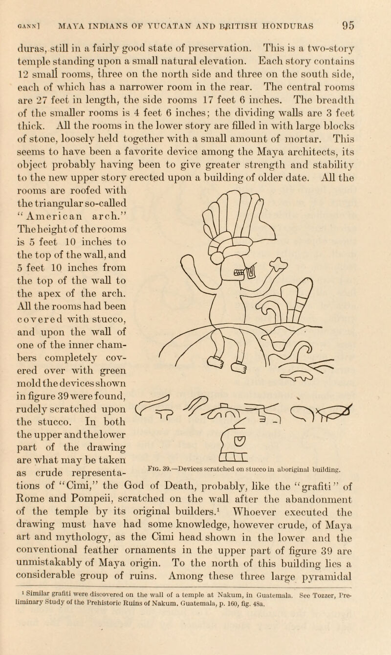 duras, still in a fairly good state of preservation. This is a two-story temple standing upon a small natural elevation. Each story contains 12 small rooms, three on the north side and three on the south side, each of which has a narrower room in the rear. The central rooms are 27 feet in length, the side rooms 17 feet 6 inches. The breadth of the smaller rooms is 4 feet 6 inches; the dividing walls are 3 feet thick. All the rooms in the lower story are filled in with large blocks of stone, loosely held together with a small amount of mortar. This seems to have been a favorite device among the Maya architects, its object probably having been to give greater strength and stability to the new upper story erected upon a building of older date. AH the rooms are roofed with the triangular so-called “American arch.” The height of the rooms is 5 feet 10 inches to the top of the wall, and 5 feet 10 inches from the top of the wall to the apex of the arch. All the rooms had been covered with stucco, and upon the wall of one of the inner cham¬ bers completely cov¬ ered over with green mold the devices shown in figure 39 were found, rudely scratched upon the stucco. In both the upper and the lower part of the drawing are what may be taken as crude representa- FlG' 39'~1)evices scratched on stucco in abori^inal buildin«- tions of “Cimi,” the God of Death, probably, like the “grafiti” of Rome and Pompeii, scratched on the wall after the abandonment of the temple by its original builders.1 Whoever executed the drawing must have had some knowledge, however crude, of Maya art and mythology, as the Cimi head shown in the lower and the conventional feather ornaments in the upper part of figure 39 are unmistakably of Maya origin. To the north of this building lies a considerable group of ruins. Among these three large pyramidal 1 Similar grafiti were discovered on the wall of a temple at Nakum, in Guatemala. See Tozzer, Pre¬ liminary Study of the Prehistoric Ruins of Nakum. Guatemala, p. 160, fig. 48a.