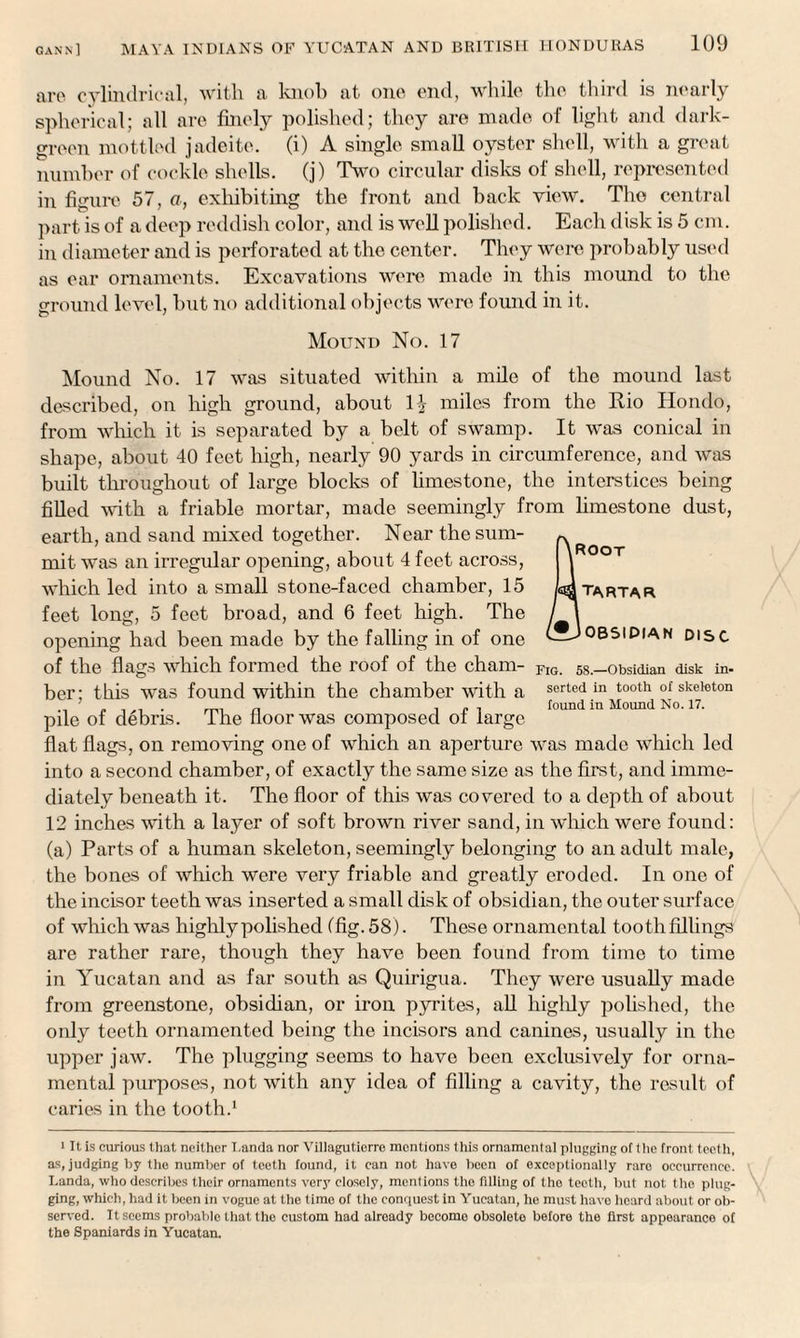 are cylindrical, with a knob at ono end, while the third is nearly spherical; all are finely polished; they are made of light and dark- green mottled jadeite. (i) A single small oyster shell, with a great number of cockle shells, (j) Two circular disks of shell, represented in figure 57, a, exhibiting the front and back view. The central part is of a deep reddish color, and is well polished. Each disk is 5 cm. in diameter and is perforated at the center. They were probably used as ear ornaments. Excavations were made in this mound to the ground level, but no additional objects were found in it. Mound No. 17 iROOT [Tartar > OBSIDIAN DISC Mound No. 17 was situated within a mile of the mound last described, on high ground, about H miles from the Rio Hondo, from which it is separated by a belt of swamp. It was conical in shape, about 40 feet high, nearly 90 yards in circumference, and was built throughout of large blocks of limestone, the interstices being filled with a friable mortar, made seemingly from limestone dust, earth, and sand mixed together. Near the sum¬ mit was an irregular opening, about 4 feet across, which led into a small stone-faced chamber, 15 feet long, 5 feet broad, and 6 feet high. The opening had been made by the falling in of one of the flags which formed the roof of the chain- Fig. 58.—obsidian disk in. ber; this was found within the chamber with a sorted in tooth of skeleton pile of debris. The floor was composed of large Hound flat flags, on removing one of which an aperture was made which led into a second chamber, of exactly the same size as the first, and imme¬ diately beneath it. The floor of this was covered to a depth of about 12 inches with a layer of soft brown river sand, in which were found: (a) Parts of a human skeleton, seemingly belonging to an adult male, the bones of which were very friable and greatly eroded. In one of the incisor teeth was inserted a small disk of obsidian, the outer surface of which was highly polished (fig. 58). These ornamental tooth fillings are rather rare, though they have been found from time to time in Yucatan and as far south as Quirigua. They were usually made from greenstone, obsidian, or iron pyrites, all highly polished, the only teeth ornamented being the incisors and canines, usually in the upper jaw. The plugging seems to have been exclusively for orna¬ mental purposes, not with any idea of filling a cavity, the residt of caries in the tooth.1 1 It is curious that neither T.anda nor Villagutierre mentions this ornamental plugging of the front teeth, as, judging by the number of teeth found, it can not have been of exceptionally rare occurrence. Landa, who describes their ornaments very closely, mentions the filling of tho teeth, but not the plug¬ ging, which, had it been in vogue at the time of the conquest in Yucatan, he must liavo heard about or ob¬ served. It seems probable that the custom had already becomo obsolete before the first appearance of the Spaniards in Yucatan.