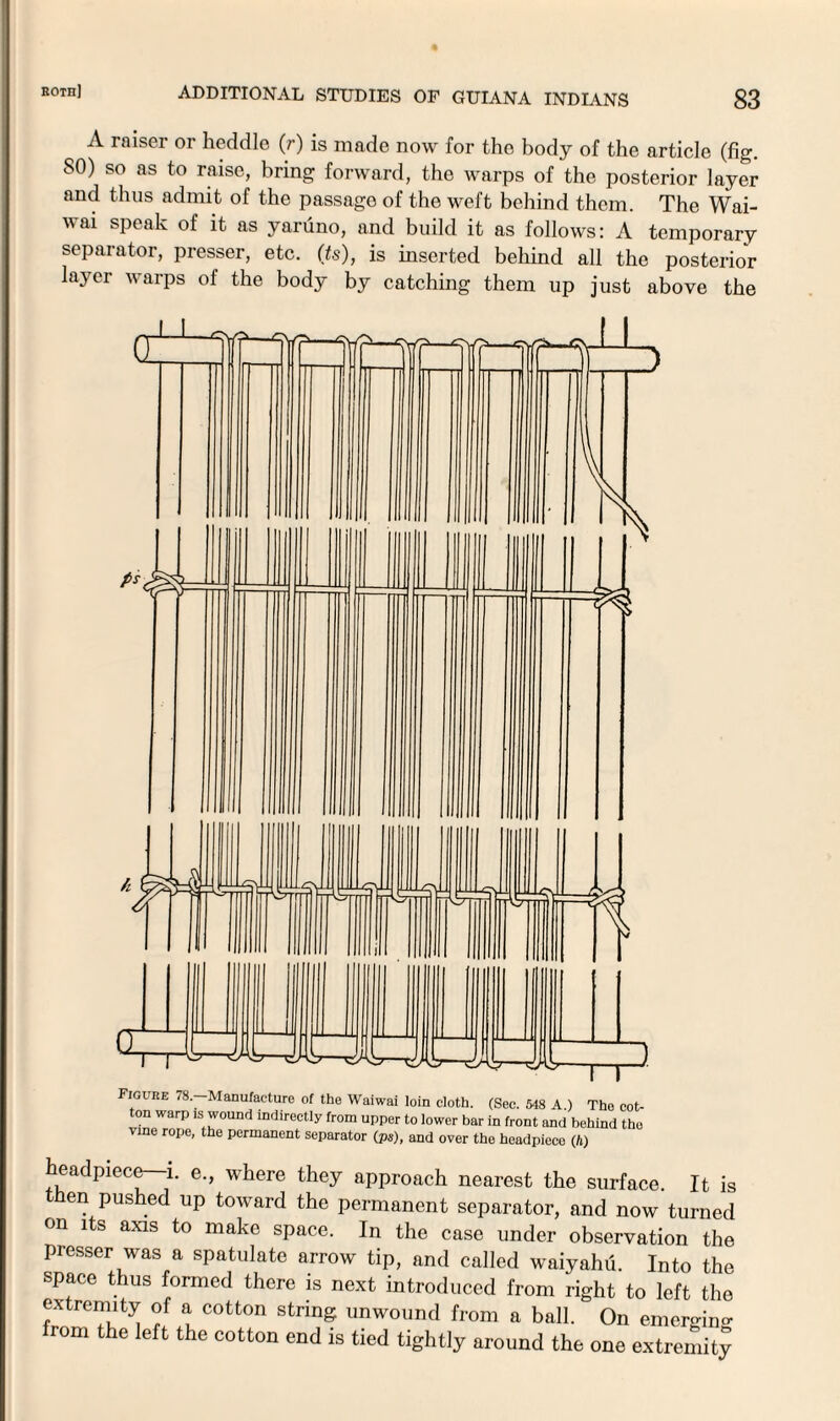 A raiser or heddle (r) is made now for the body of the article (fig. SO) so as to raise, bring forward, the warps of the posterior layer and thus admit of the passago of the weft behind them. The Wai- wai speak of it as yaruno, and build it as follows: A temporary separator, presser, etc. (ts), is inserted behind all the posterior layer warps of the body by catching them up just above the eadpiece i. e., where they approach nearest the surface. It is en pushed up toward the permanent separator, and now turned on its axis to make space. In the case under observation the presser was a spatulate arrow tip, and called waiyahu. Into the space thus formed there is next introduced from right to left the extremity of a cotton string unwound from a ball. On emerging from the left the cotton end is tied tightly around the one extremity