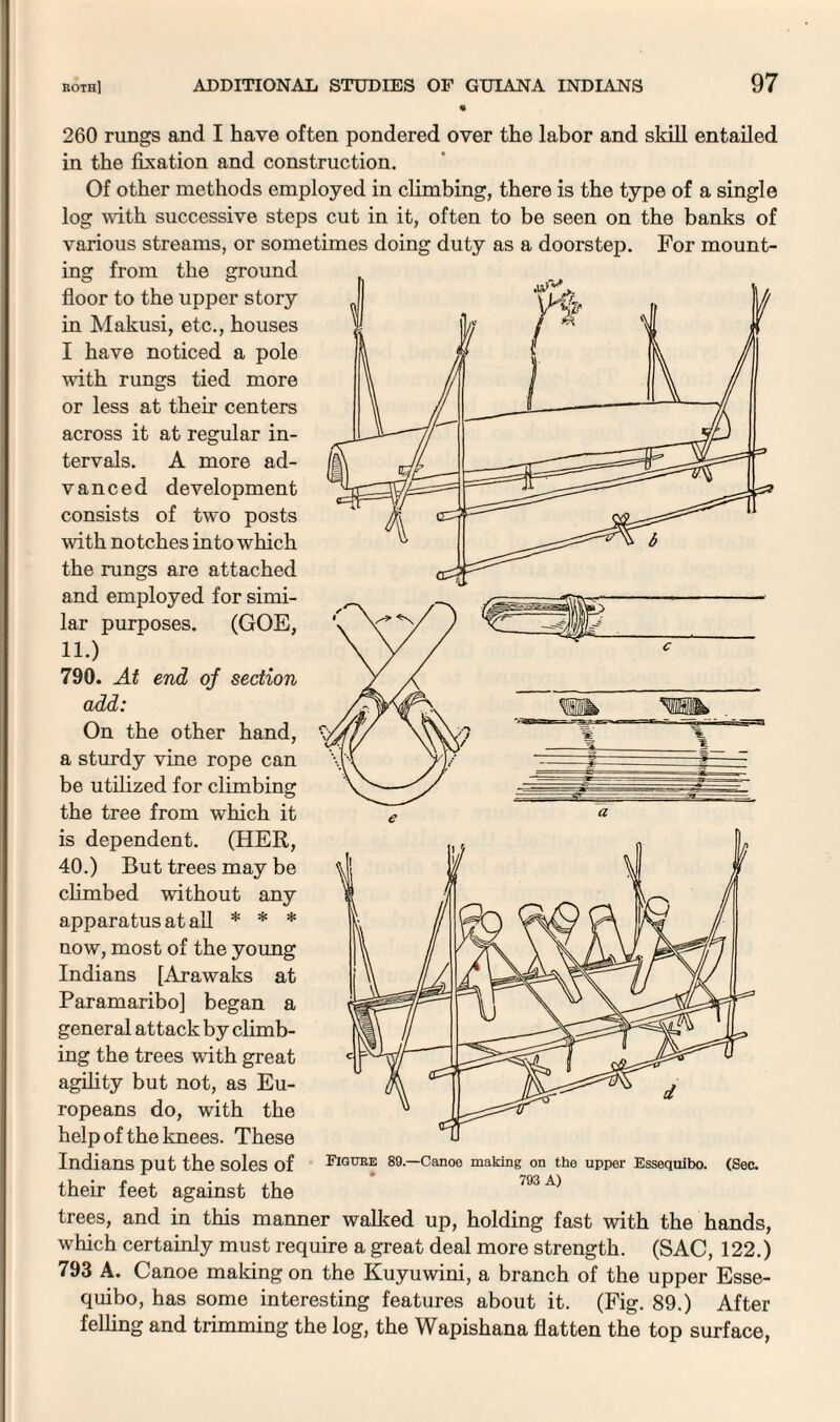 260 rungs and I have often pondered over the labor and skill entailed in the fixation and construction. Of other methods employed in climbing, there is the type of a single log with successive steps cut in it, often to be seen on the banks of various streams, or sometimes doing duty as a doorstep. For mount¬ ing from the ground floor to the upper story in Makusi, etc., houses I have noticed a pole with rungs tied more or less at their centers across it at regular in¬ tervals. A more ad¬ vanced development consists of two posts with notches into which the rungs are attached and employed for simi¬ lar purposes. (GOE, 11.) 790. At end of section add: On the other hand, a sturdy vine rope can be utilized for climbing the tree from which it is dependent. (HER, 40.) But trees may be climbed without any apparatus at all * * * now, most of the young Indians [Arawaks at Paramaribo] began a general attack by climb¬ ing the trees with great agility but not, as Eu¬ ropeans do, with the help of the knees. These Indians put the soles of their feet against the Figure 89.—Canoe making on the upper Essequibo. 793 A) (Sec. trees, and in this manner walked up, holding fast with the hands, which certainly must require a great deal more strength. (SAC, 122.) 793 A. Canoe making on the Kuyuwini, a branch of the upper Esse¬ quibo, has some interesting features about it. (Fig. 89.) After felling and trimming the log, the Wapishana flatten the top surface,