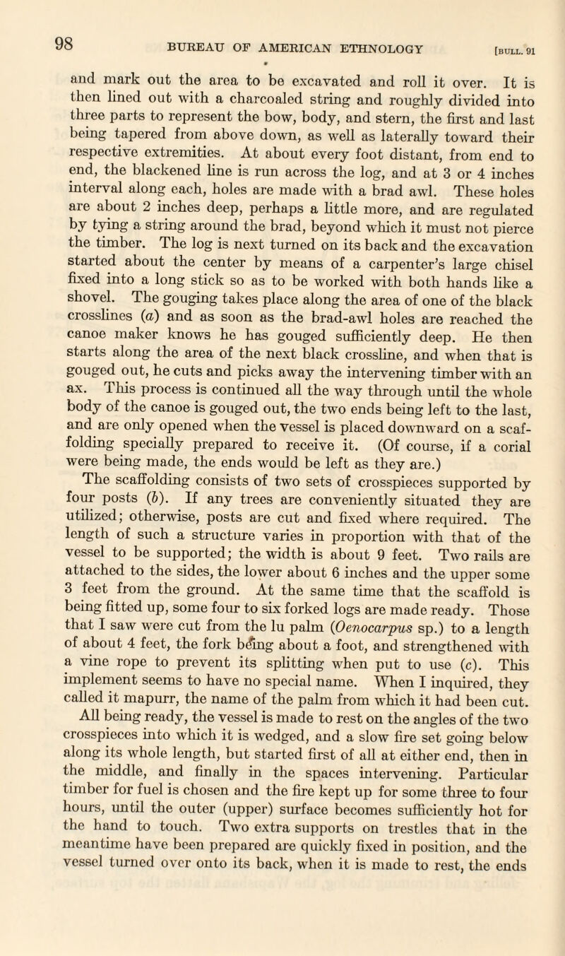 [bull. 91 and mark out the area to be excavated and roll it over. It is then lined out with a charcoaled string and roughly divided into three parts to represent the bow, body, and stern, the first and last being tapered from above down, as well as laterally toward their respective extremities. At about every foot distant, from end to end, the blackened line is run across the log, and at 3 or 4 inches interval along each, holes are made with a brad awl. These holes are about 2 inches deep, perhaps a little more, and are regulated by tying a string around the brad, beyond which it must not pierce the timber. The log is next turned on its back and the excavation started about the center by means of a carpenter’s large chisel fixed into a long stick so as to be worked with both hands like a shovel. The gouging takes place along the area of one of the black crosslines (a) and as soon as the brad-awl holes are reached the canoe maker knows he has gouged sufficiently deep. He then starts along the area of the next black crossline, and when that is gouged out, he cuts and picks away the intervening timber with an ax. This process is continued all the way through until the whole body of the canoe is gouged out, the two ends being left to the last, and are only opened when the vessel is placed downward on a scaf¬ folding specially prepared to receive it. (Of course, if a corial were being made, the ends would be left as they are.) The scaffolding consists of two sets of crosspieces supported by four posts (b). If any trees are conveniently situated they are utilized; otherwise, posts are cut and fixed where required. The length of such a structure varies in proportion with that of the vessel to be supported; the width is about 9 feet. Two rails are attached to the sides, the lower about 6 inches and the upper some 3 feet from the ground. At the same time that the scaffold is being fitted up, some four to six forked logs are made ready. Those that I saw were cut from the lu palm (Oenocarpus sp.) to a length of about 4 feet, the fork b^ing about a foot, and strengthened with a vine rope to prevent its splitting when put to use (c). This implement seems to have no special name. When I inquired, they called it mapurr, the name of the palm from which it had been cut. All being ready, the vessel is made to rest on the angles of the two crosspieces into which it is wedged, and a slow fire set going below along its whole length, but started first of all at either end, then in the middle, and finally in the spaces intervening. Particular timber for fuel is chosen and the fire kept up for some three to four hours, until the outer (upper) sin-face becomes sufficiently hot for the hand to touch. Two extra supports on trestles that in the meantime have been prepared are quickly fixed in position, and the vessel turned over onto its back, when it is made to rest, the ends