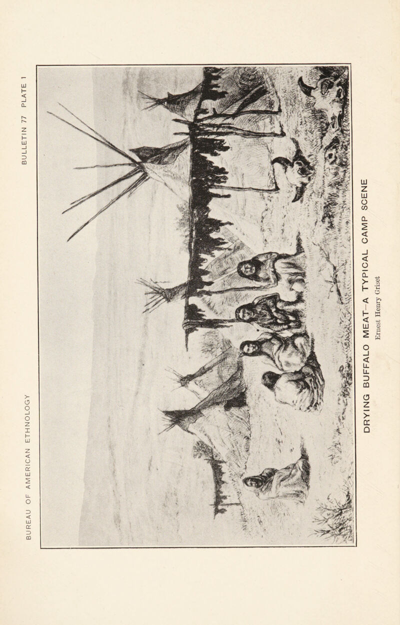 BUREAU OF AMERICAN ETHNOLOGY DRYING BUFFALO MEAT-A TYPICAL CAMP SCENE Ernest Henry Griset