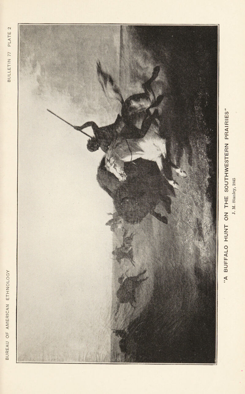 BUREAU OF AMERICAN ETHNOLOGY BUFFALO HUNT ON THE SOUTHWESTERN PRAIRIES J. M. Stanley, 1845