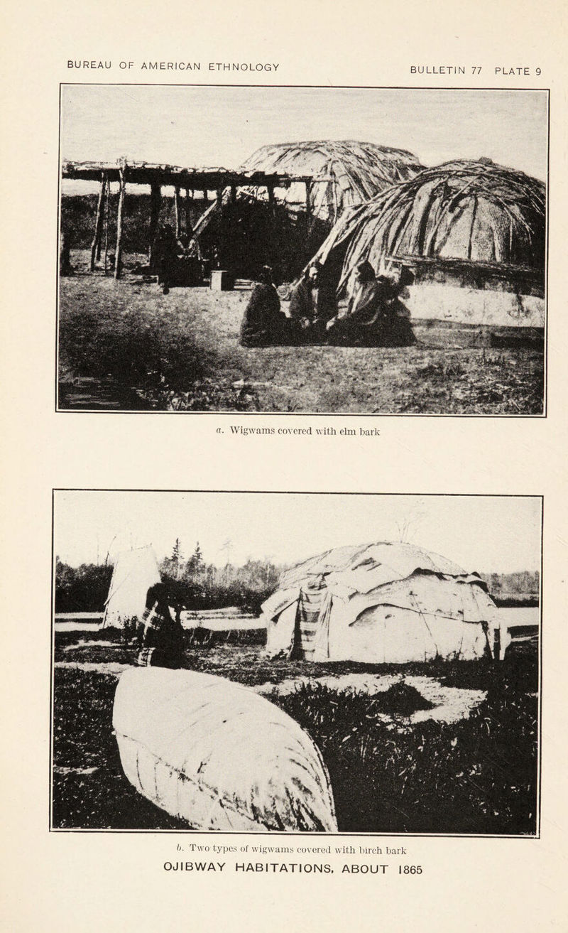 BULLETIN 77 PLATE 9 h. Two types of wigwams covered with birch bark OJIBWAY HABITATIONS. ABOUT 1865