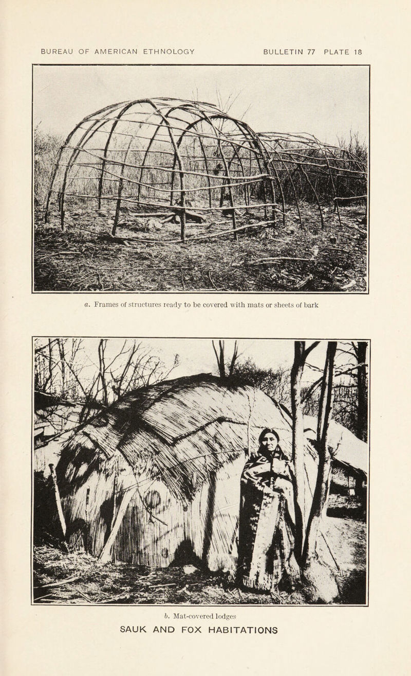 a. Frames of structures ready to be covered with mats or sheets of bark b. Mat-covered lodges SAUK AND FOX HABITATIONS