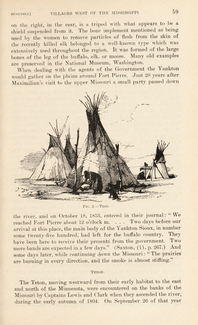 on the right, in the rear, is a tripod Avith Avhat appears to be a shield suspended from it. The bone implement mentioned as being used by the Avomen to remoA^e particles of flesh from the skin of the recently killed elk belonged to a AA^ell-known type which was extensiA^ely used throughout the region. It Avas formed of the large bones of the leg of the buffalo, elk, or moose. Many old examples are preserved in the National Museum, Washington. When dealing with the agents of the Government the Yankton AYOuld gather on the plains around Fort Pierre. Just 20 years after Maximilian’s visit to the upper Missouri a small party passed down Fig. 2.—Tipis. the riA^er, and on October 18, 1858, entered in their journal; W^e reached Fort Pierre about 12 o’clock m. . . . Two days before our arriA^al at this place, the main body of the T ankton Sioux, in number some tAventy-five hundred, had left for the buffalo country. They have been here to receive their presents from the goA-ernment. Two more bands are expected in a few days.” (Saxton, (1), p. 267.) And some days later, Avhile continuing doAvn the Missouri: “ The prairies are burning in every direction, and the smoke is almost stifling.” Teton. The Teton, moving Avestward from their early habitat to the east and north of the Minnesota, Avere encountered on the banks of the Missouri by Captains LeAvis and Clark when they ascended the river, during the early autumn of 1804. On September 26 of that year
