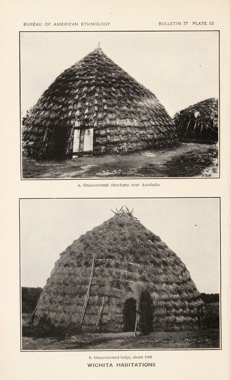 a. Grass-covered structures near Anadarko b. Grass-covered lodge, about 1S80 WICHITA HABITATIONS