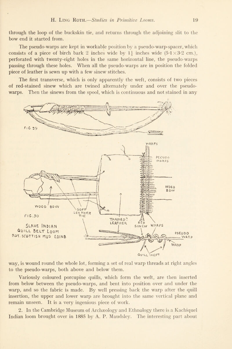 through the loop of the buckskin tie, and returns through the adjoining slit to the bow end it started from. The pseudo-warps are kept in workable position by a pseudo-warp-spacer, which consists of a piece of birch bark 2 inches wide by \\ inches wide (5-lx3-2 cm.), perforated with twenty-eight holes in the same horizontal line, the pseudo-warps passing through these holes. When all the pseudo-warps are in position the folded piece of leather is sewn up with a few sinew stitches. The first transverse, which is only apparently the weft, consists of two pieces of red-stained sinew which are twined alternately under and over the pseudo¬ warps. Then the sinews from the spool, which is continuous and not stained in any n way, is wound round the whole lot, forming a set of real warp threads at right angles to the pseudo-warps, both above and below them. Variously coloured porcupine quills, which form the weft, are then inserted from below between the pseudo-warps, and bent into position over and under the warp, and so the fabric is made. By well pressing back the warp after the quill insertion, the upper and lower warp are brought into the same vertical plane and remain unseen. It is a very ingenious piece of work. 2. In the Cambridge Museum of Archaeology and Ethnology there is a Kachiquel Indian loom brought over in 1885 by A. P. Maudsley. The interesting part about