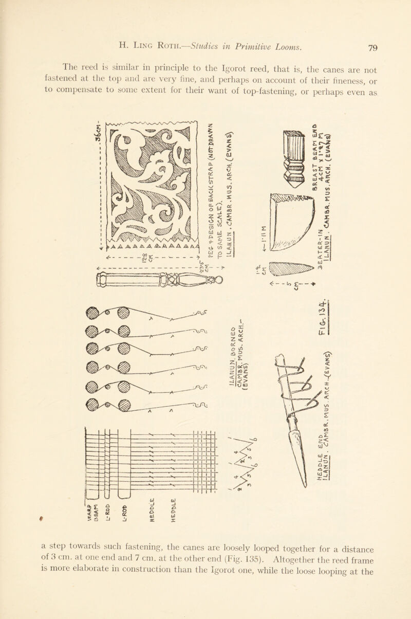 The reed is similar in principle to the Igorot reed, that is, the canes are not fastened at the top and aie \eiy line, and perhaps on account of their fineness, or to compensate to some extent for their want of top-fastening, or perhaps even as i 5 to A A A. ^ A A. A A A-^j - > a. step towards such fastening, the canes are loosely looped together for a distance of 3 cm. at one end and 7 cm. at the other end (Fig. 135). Altogether the reed frame is moic elaborate in constiuction than the Igorot one, while the loose looping at the