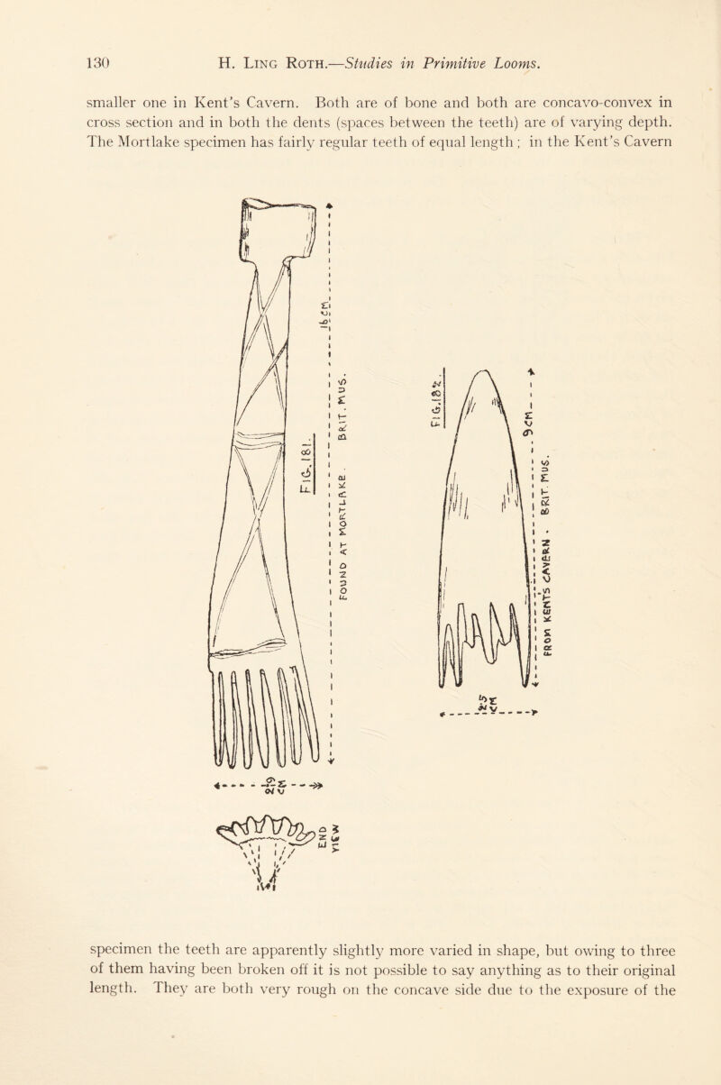 smaller one in Kent’s Cavern. Both are of bone and both are concavo-convex in cross section and in both the dents (spaces between the teeth) are of varying depth. The Mortlake specimen has fairly regular teeth of equal length ; in the Kent’s Cavern S £ tr cZ cCl as cC t- £ o % H < a 2 3 o u. specimen the teeth are apparently slightly more varied in shape, but owing to three of them having been broken off it is not possible to say anything as to their original length. They are both very rough on the concave side due to the exposure of the