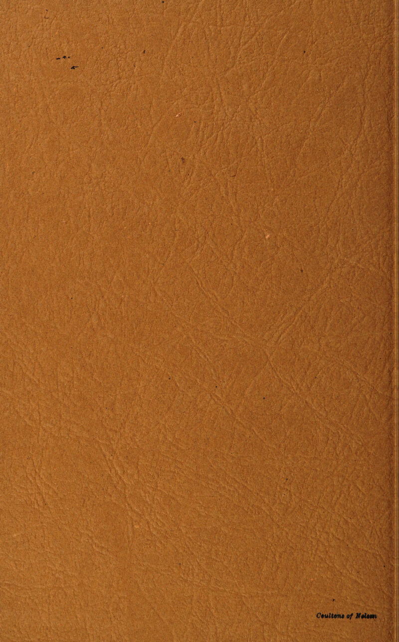 m T*s' m ■ v v.. - of Ifetmi \ . • ’ •' • ••-• l ' V- '• ,v--v ; ?& 7* \r* ’• * ..■ '■’ ■’ • *. v .£,