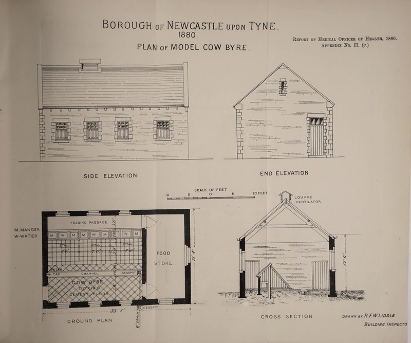 Borough of Newcastle upon Tyne. 1880. PLAN of MODEL COW BYRE. Report of Medical Officer of Health, 1880. Appendix No. II. (c.) SIDE ELEVATION M.MANGER W-WATER 10 SCALE OF FEET O CROSS SECTION drawn by R.F.W.Ll DDLE I I CROUND PLAN