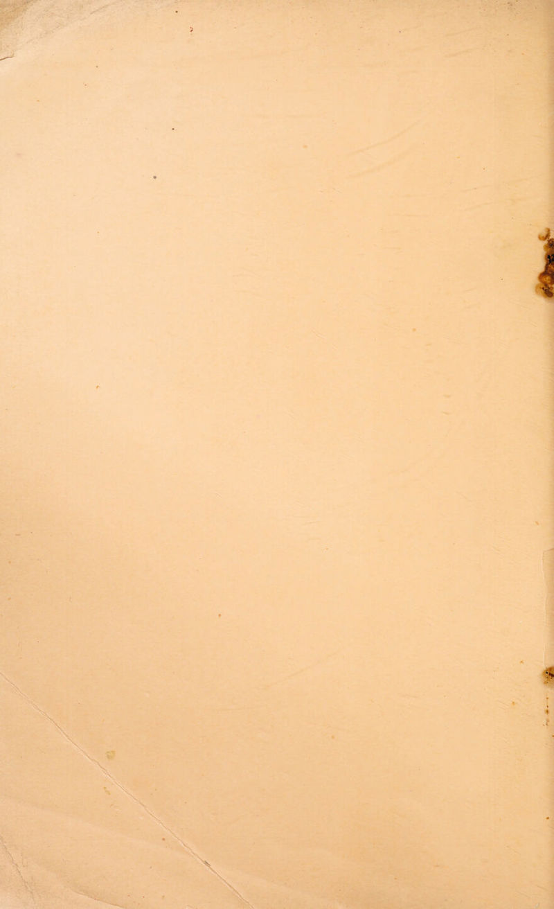 'i ( . * . ! ! m % ■, *