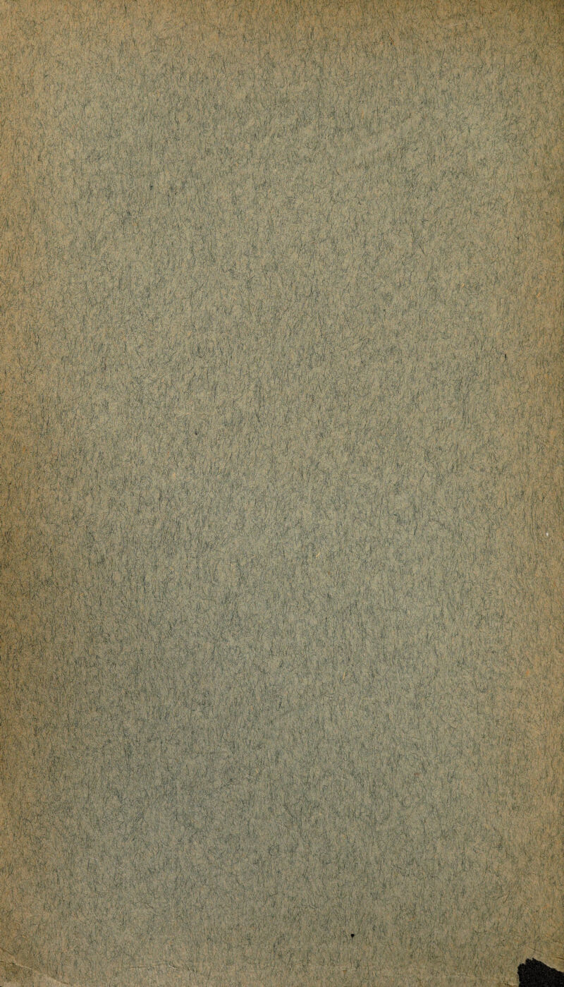 v v. ,'-v »ppr;4 gip fpps ■••pf; 1 ,- PllPpt ^ ; « -1: p ■ i: s $i$$ pi n:;-r^MvPPv y^P P;.>EPP ',5P::;