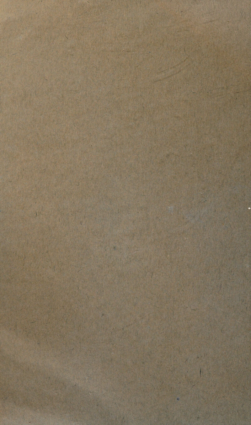 ■/' ■' V ' V: V -:' :w$S WStsM ■ : , ■'' 'fy-h i emu h’;V .«'. . fcii