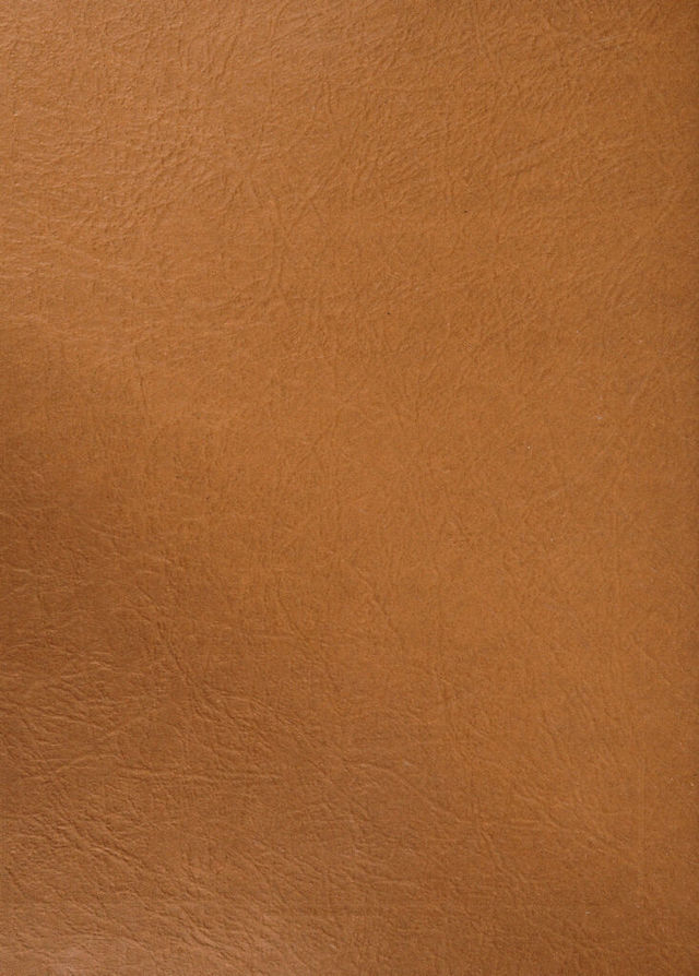 No text description is available for this image