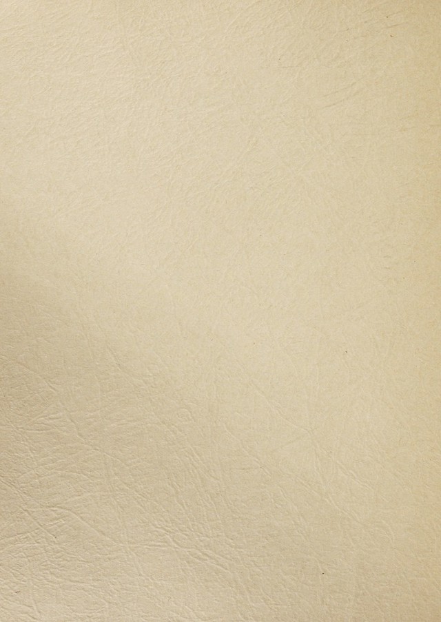 No text description is available for this image