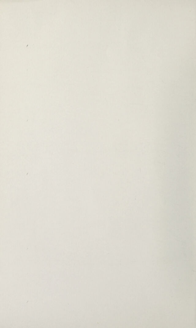 digitised image 2