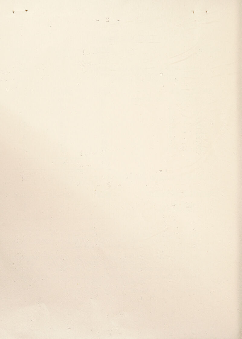 «*■ C' t ■■ >} i ■r^ <-.4. ' , ' /