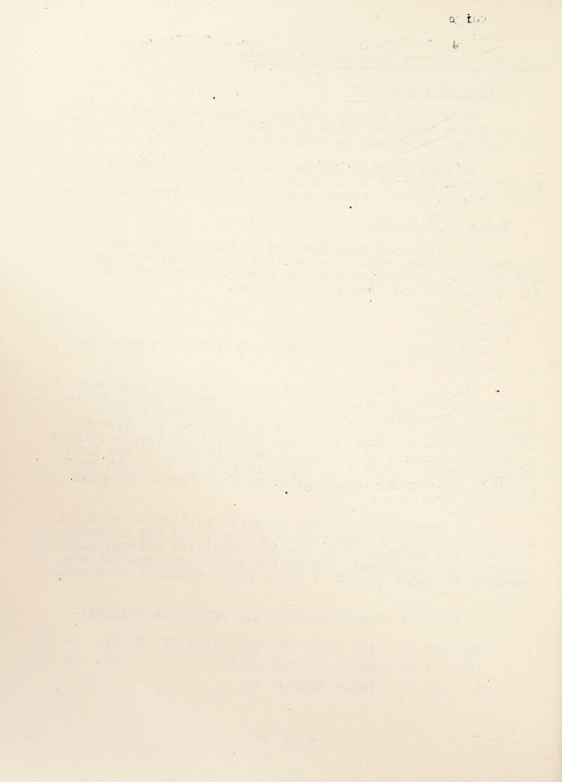 Cl V/.1 . y •-  * ■7