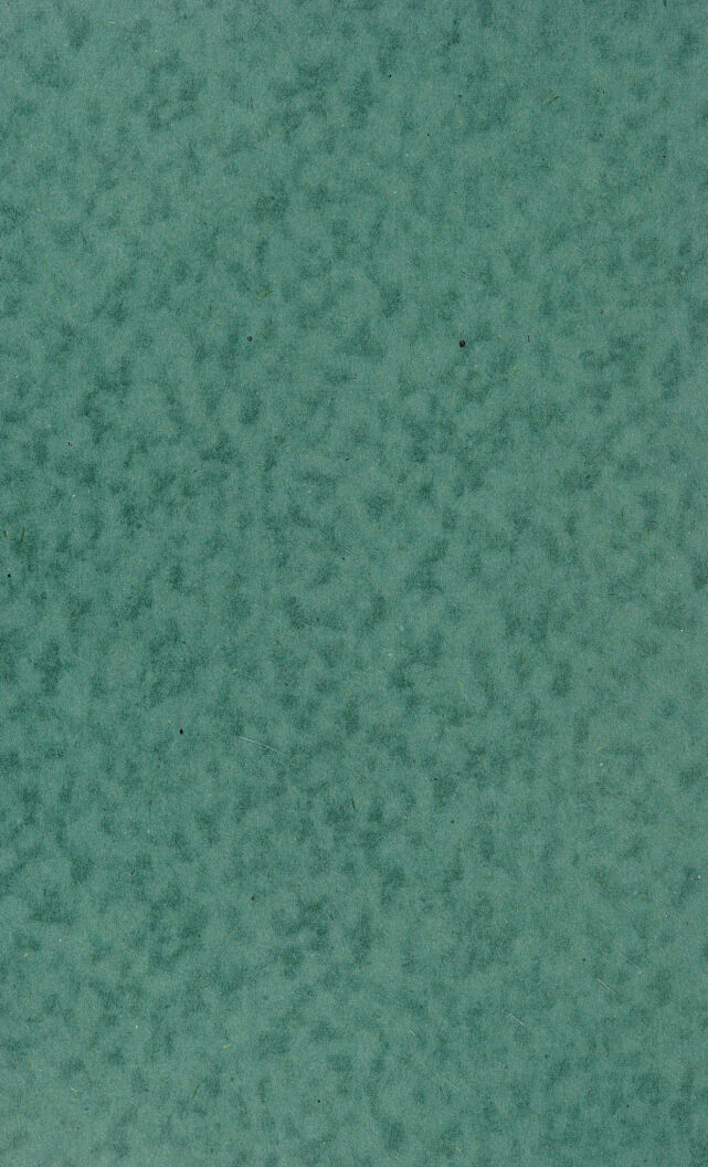 digitised image 2