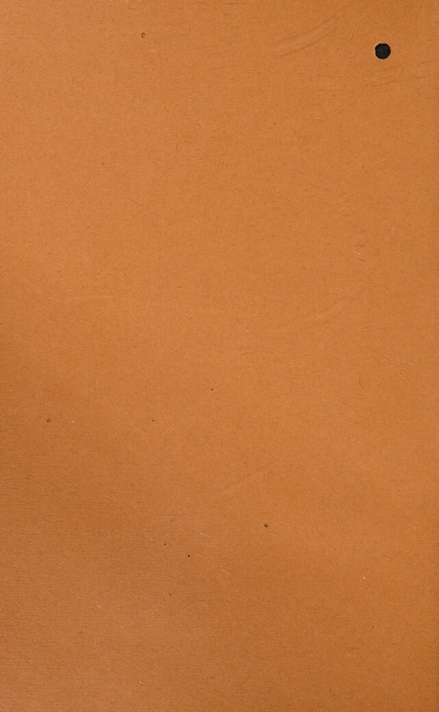 digitised image 2