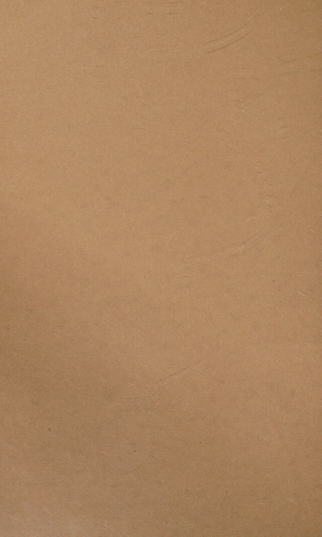digitised image 2