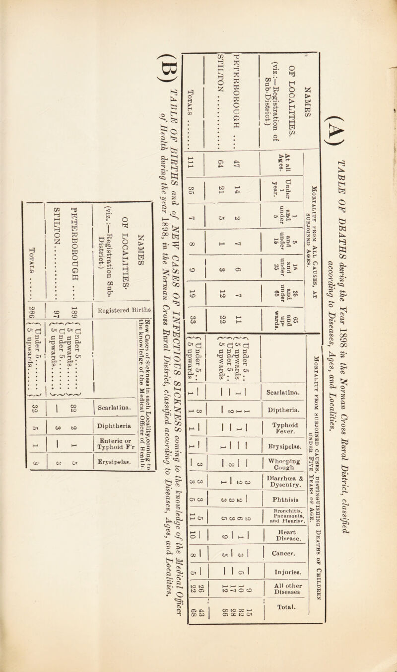 h3 o H > f CD CO H t—< F o tz: k H K » W C to c d Q SH tsa ds3 £'<*5. 2. d ^ crt- 5' P CO C3 a to QO Cl CD GO CD Registered Births Or e cs so ts rp Ci-np P-> 3 S 3 ® p p hi Ox ^ Or Qj • pj cb • cn co to 1 CO 1 to Scarlatina. Or co to Diphtheria M 1 - Enteric or Typhoid F’r GO CO Or Erysipelas. Si- » Cb Totals . 'PETERBOROUGH .... STILTON. OF LOCALITIES. (viz.:—Registration of Sub-District) Ill 47 64 > >■ 9C <*- G> p Cf> Z+ CO Ox 14 21 Under 1 year. —1 Or to 1 and under 5 00 M -3 5 and under 15 CO CO Cl 15 and under 25 h-» CO 7 12 25 and under 65 CO co S3 TX 65 and up¬ wards. f Under 5 .. ( 5 upwards f Under 5 .. ^ 5 upwards f Under 5 .. \ 5 upwards -1 1 1 m| Scarlatina. 3-* CO 1 to H H Diptheria. hI 1 IhI Typhoid j Fever. m! mI 1 I Erysipelas. ! CO 1 CO 1 1 Whooping Cough CO CO I—1 1 to CO Diarrhoea & Dysentry. Or CO CO co to 1 Phthisis h-L M err Or co ci to Bronchitis, Pneumonia, and f’liurisr SI to 1 1—1 1 Heart Disease. ooi Or 1 CO I Cancer. Or 1 1 1 or 1 Injuries. to to to Cl 1—1 1—1 1—1 to -a o to AH other Diseases Ol 00 CO 1 • CO to 05 M O GO to Or 1 Total. > to cn g o 55 H ► t1 r—i H *1 S g M SO b o a Q f g o W H ► f M H *1 55 c g a: d W «H O 2 w 55 O ► ^ d d cc M » H HH b> w g w £ o 0 d d . M tt» OD P W W 5 p a IS k H w 03 o d O W M f tt w w 35 b b b O b b b b b tfe § sl § S 2 «. 5 § <Ci Ss- «. » ° dj b §* «*a. co d a S3 M <3i C/D Pi tD ^ 0o §* Cfc es. >? ^ 5 t> a- O* b I § | S! S c-»4 6 a <*>. ■* p c£ » Z C/3 fed <0* <r—. a <03 <03 Si cts Si-