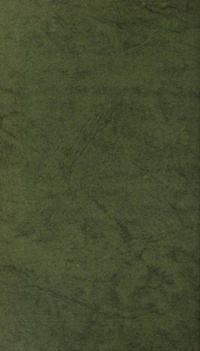 digitised image 2
