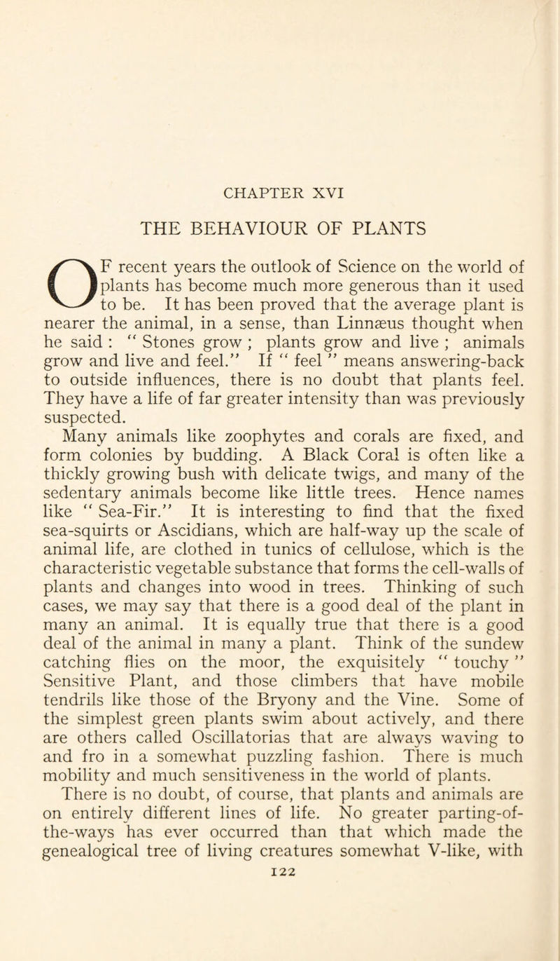 CHAPTER XVI THE BEHAVIOUR OF PLANTS OF recent years the outlook of Science on the world of plants has become much more generous than it used to be. It has been proved that the average plant is nearer the animal, in a sense, than Linnaeus thought when he said : “ Stones grow ; plants grow and live ; animals grow and live and feel.,, If “ feel ” means answering-back to outside influences, there is no doubt that plants feel. They have a life of far greater intensity than was previously suspected. Many animals like zoophytes and corals are fixed, and form colonies by budding. A Black Coral is often like a thickly growing bush with delicate twigs, and many of the sedentary animals become like little trees. Hence names like “ Sea-Fir.” It is interesting to find that the fixed sea-squirts or Ascidians, which are half-way up the scale of animal life, are clothed in tunics of cellulose, which is the characteristic vegetable substance that forms the cell-walls of plants and changes into wood in trees. Thinking of such cases, we may say that there is a good deal of the plant in many an animal. It is equally true that there is a good deal of the animal in many a plant. Think of the sundew catching flies on the moor, the exquisitely “ touchy ” Sensitive Plant, and those climbers that have mobile tendrils like those of the Bryony and the Vine. Some of the simplest green plants swim about actively, and there are others called Oscillatorias that are always waving to and fro in a somewhat puzzling fashion. There is much mobility and much sensitiveness in the world of plants. There is no doubt, of course, that plants and animals are on entirely different lines of life. No greater parting-of- the-ways has ever occurred than that which made the genealogical tree of living creatures somewhat V-like, with
