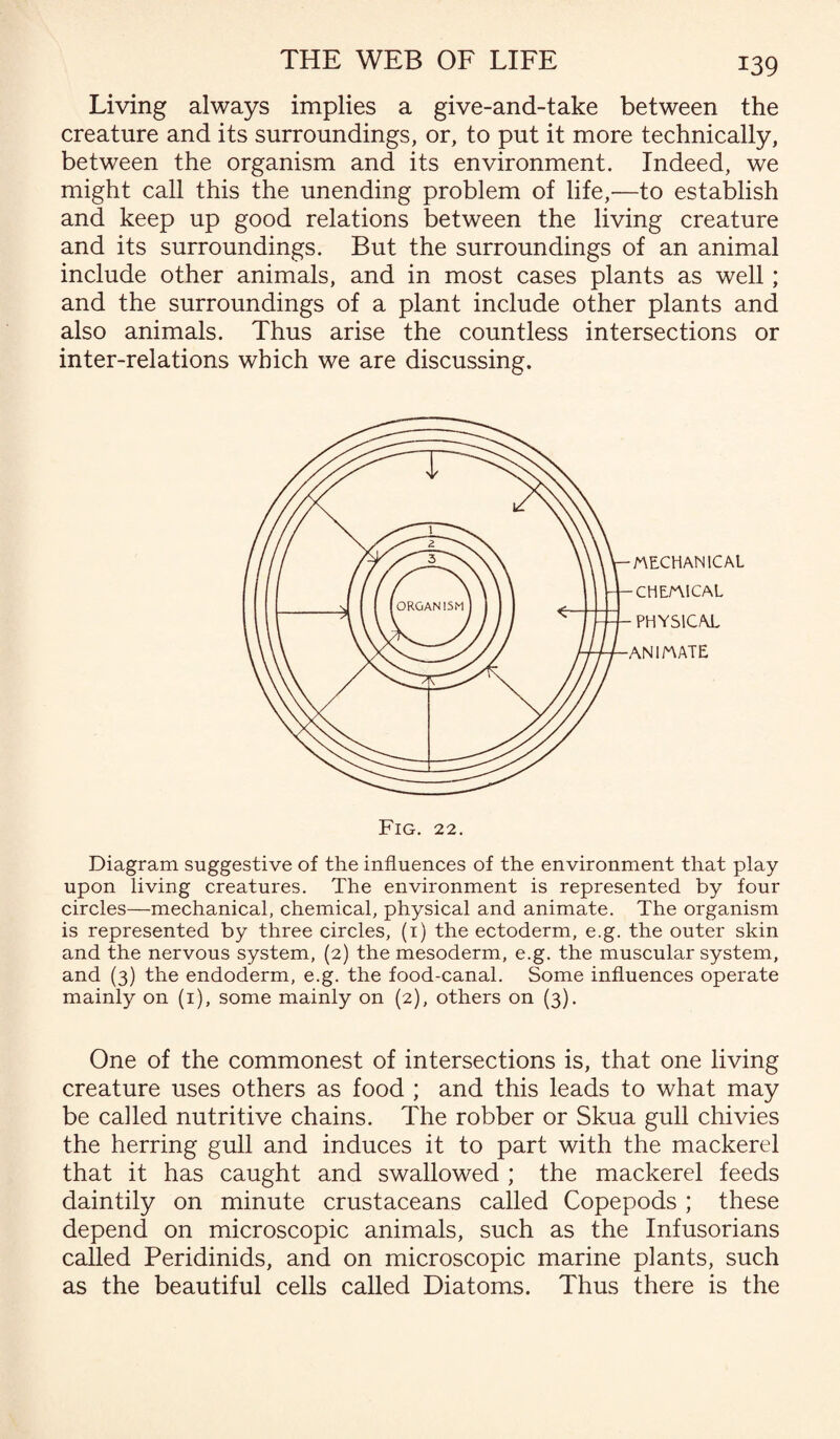 Living always implies a give-and-take between the creature and its surroundings, or, to put it more technically, between the organism and its environment. Indeed, we might call this the unending problem of life,—to establish and keep up good relations between the living creature and its surroundings. But the surroundings of an animal include other animals, and in most cases plants as well; and the surroundings of a plant include other plants and also animals. Thus arise the countless intersections or inter-relations which we are discussing. Fig. 22. Diagram suggestive of the influences of the environment that play upon living creatures. The environment is represented by four circles—mechanical, chemical, physical and animate. The organism is represented by three circles, (1) the ectoderm, e.g. the outer skin and the nervous system, (2) the mesoderm, e.g. the muscular system, and (3) the endoderm, e.g. the food-canal. Some influences operate mainly on (1), some mainly on (2), others on (3). One of the commonest of intersections is, that one living creature uses others as food ; and this leads to what may be called nutritive chains. The robber or Skua gull chivies the herring gull and induces it to part with the mackerel that it has caught and swallowed ; the mackerel feeds daintily on minute crustaceans called Copepods ; these depend on microscopic animals, such as the Infusorians called Peridinids, and on microscopic marine plants, such as the beautiful cells called Diatoms. Thus there is the