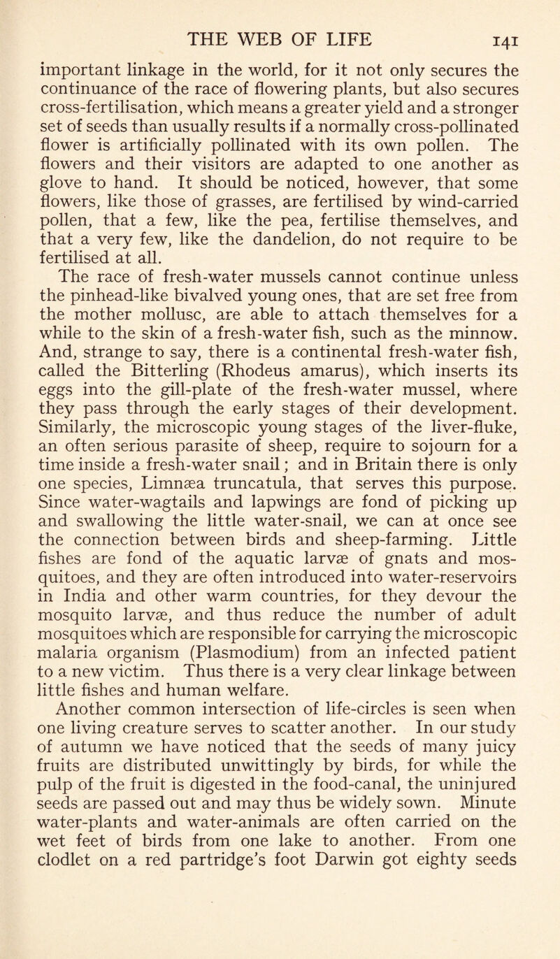 important linkage in the world, for it not only secures the continuance of the race of flowering plants, but also secures cross-fertilisation, which means a greater yield and a stronger set of seeds than usually results if a normally cross-pollinated flower is artificially pollinated with its own pollen. The flowers and their visitors are adapted to one another as glove to hand. It should be noticed, however, that some flowers, like those of grasses, are fertilised by wind-carried pollen, that a few, like the pea, fertilise themselves, and that a very few, like the dandelion, do not require to be fertilised at all. The race of fresh-water mussels cannot continue unless the pinhead-like bivalved young ones, that are set free from the mother mollusc, are able to attach themselves for a while to the skin of a fresh-water fish, such as the minnow. And, strange to say, there is a continental fresh-water fish, called the Bitterling (Rhodeus amarus), which inserts its eggs into the gill-plate of the fresh-water mussel, where they pass through the early stages of their development. Similarly, the microscopic young stages of the liver-fluke, an often serious parasite of sheep, require to sojourn for a time inside a fresh-water snail; and in Britain there is only one species, Limnsea truncatula, that serves this purpose. Since water-wagtails and lapwings are fond of picking up and swallowing the little water-snail, we can at once see the connection between birds and sheep-farming. Little fishes are fond of the aquatic larvae of gnats and mos¬ quitoes, and they are often introduced into water-reservoirs in India and other warm countries, for they devour the mosquito larvae, and thus reduce the number of adult mosquitoes which are responsible for carrying the microscopic malaria organism (Plasmodium) from an infected patient to a new victim. Thus there is a very clear linkage between little fishes and human welfare. Another common intersection of life-circles is seen when one living creature serves to scatter another. In our study of autumn we have noticed that the seeds of many juicy fruits are distributed unwittingly by birds, for while the pulp of the fruit is digested in the food-canal, the uninjured seeds are passed out and may thus be widely sown. Minute water-plants and water-animals are often carried on the wet feet of birds from one lake to another. From one clodlet on a red partridge’s foot Darwin got eighty seeds
