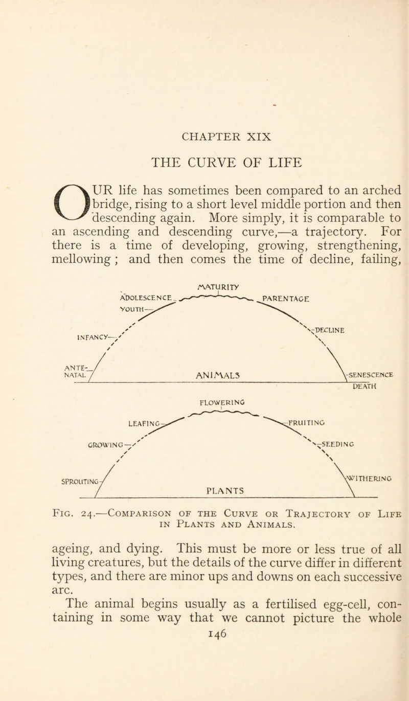 CHAPTER XIX THE CURVE OF LIFE OUR life has sometimes been compared to an arched bridge, rising to a short level middle portion and then descending again. More simply, it is comparable to an ascending and descending curve,—a trajectory. For there is a time of developing, growing, strengthening, mellowing ; and then comes the time of decline, failing, ADOLESCENCE YOUTH- CWURITY INFANCY—-/ / / ANTE-_/ NATAL animals VSENESCENCE DEATH FLOWERING i PLANTS Fig. 24.-—Comparison of the Curve or Trajectory of Life in Plants and Animals. ageing, and dying. This must be more or less true of all living creatures, but the details of the curve differ in different types, and there are minor ups and downs on each successive arc. The animal begins usually as a fertilised egg-cell, con¬ taining in some way that we cannot picture the whole