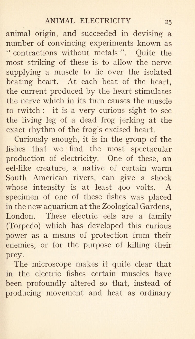 animal origin, and succeeded in devising a number of convincing experiments known as “ contractions without metals A Quite the most striking of these is to allow the nerve supplying a muscle to lie over the isolated beating heart. At each beat of the heart, the current produced by the heart stimulates the nerve which in its turn causes the muscle to twitch : it is a very curious sight to see the living leg of a dead frog jerking at the exact rhythm of the frog’s excised heart. Curiously enough, it is in the group of the fishes that we find the most spectacular production of electricity. One of these, an eel-like creature, a native of certain warm South American rivers, can give a shock whose intensity is at least 400 volts. A specimen of one of these fishes was placed in the new aquarium at the Zoological Gardens, London. These electric eels are a familv (Torpedo) which has developed this curious power as a means of protection from their enemies, or for the purpose of killing their prey. The microscope makes it quite clear that in the electric fishes certain muscles have been profoundly altered so that, instead of producing movement and heat as ordinary