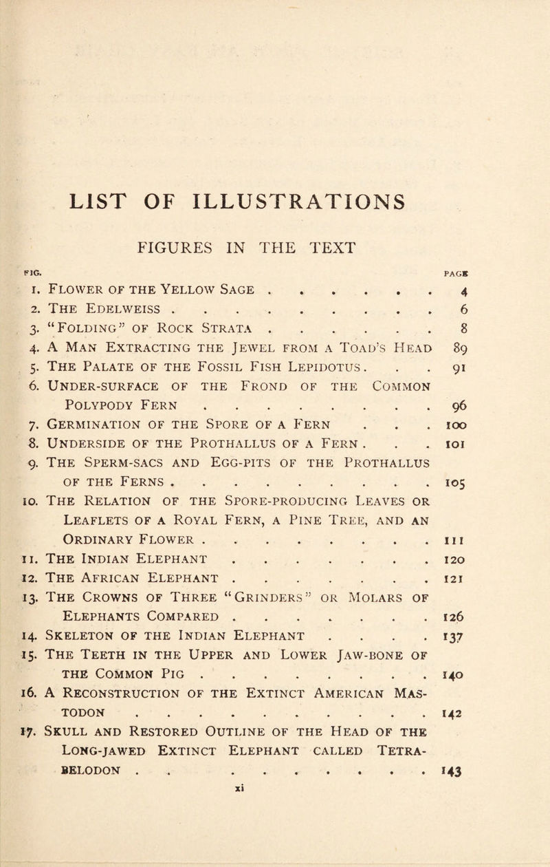 LIST OF ILLUSTRATIONS FIGURES IN THE TEXT FIG. 1. Flower of the Yellow Sage. 2. The Edelweiss. 3. “Folding” of Rock Strata. 4. A Man Extracting the Jewel from a Toad’s Head 5. The Palate of the Fossil Fish Lepidotus. 6. Under-surface of the Frond of the Common Polypody Fern . 7. Germination of the Spore of a Fern 8. Underside of the Prothallus of a Fern . 9. The Sperm-sacs and Egg-pits of the Prothallus OF the Ferns . 10. The Relation of the Spore-producing Leaves or Leaflets of a Royal Fern, a Pine Tree, and an Ordinary Flower. 11. The Indian Elephant. 12. The African Elephant. 13. The Crowns of Three “Grinders” or Molars of Elephants Compared ....... 14. Skeleton of the Indian Elephant .... 15. The Teeth in the Upper and Lower Jaw-bone of the Common Pig. 16. A Reconstruction of the Extinct American Mas¬ todon . 17. Skull and Restored Outline of the Head of the Long-jawed Extinct Elephant called Tetra- belodon . . PACK 4 6 8 89 91 96 100 101 105 III 120 121 126 137 140 142 143