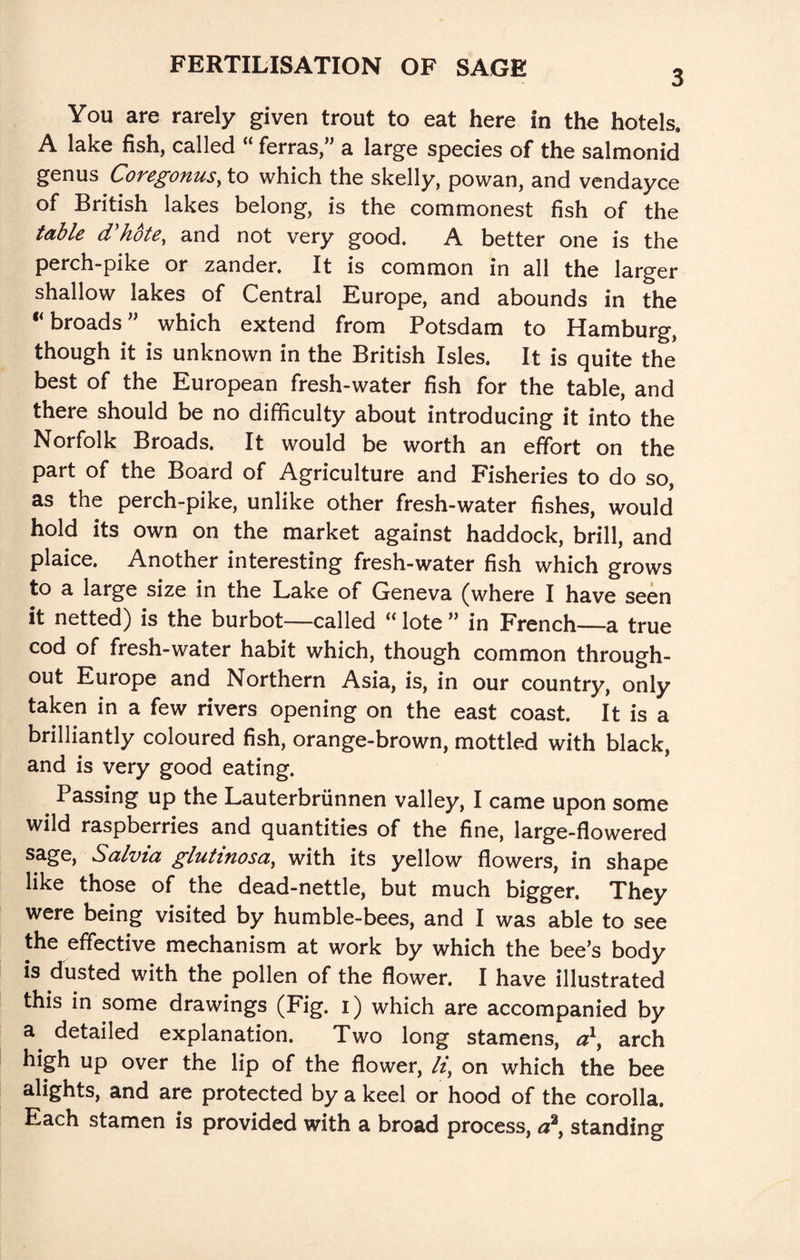 You are rarely given trout to eat here in the hotels. A lake fish, called “ ferras,” a large species of the salmonid genus Coregonus, to which the skelly, powan, and vendayce of British lakes belong, is the commonest fish of the table d'hote, and not very good. A better one is the perch-pike or zander. It is common in all the larger shallow lakes of Central Europe, and abounds in the “broads” which extend from Potsdam to Hamburg, though it is unknown in the British Isles. It is quite the best of the European fresh-water fish for the table, and there should be no difficulty about introducing it into the Norfolk Broads. It would be worth an effort on the part of the Board of Agriculture and Fisheries to do so, as the perch-pike, unlike other fresh-water fishes, would hold its own on the market against haddock, brill, and plaice. Another interesting fresh-water fish which grows to a large size in the Lake of Geneva (where I have seen it netted) is the burbot—called “ lote ” in French_a true cod of fresh-water habit which, though common through¬ out Europe and Northern Asia, is, in our country, only taken in a few rivers opening on the east coast. It is a brilliantly coloured fish, orange-brown, mottled with black, and is very good eating. Passing up the Lauterbriinnen valley, I came upon some wild raspberries and quantities of the fine, large-flowered sage. Salvia gluhnosa, with its yellow flowers, in shape like those of the dead-nettle, but much bigger. They were being visited by humble-bees, and I was able to see the effective mechanism at work by which the bee’s body is dusted with the pollen of the flower. I have illustrated this in some drawings (Fig. i) which are accompanied by detailed explanation. Two long stamens, arch high up over the lip of the flower, li, on which the bee alights, and are protected by a keel or hood of the corolla. Each stamen is provided with a broad process, standing