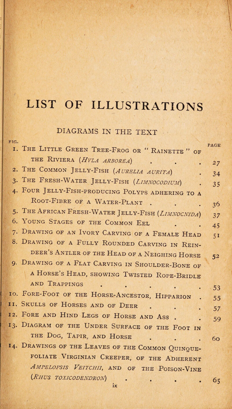 LIST OF ILLUSTRATIONS DIAGRAMS IN THE TEXT FIG. 1. The Little Green Tree-Frog or “ Rainette ” of the Riviera (Hyla arborea) 2. The Common Jelly-Fish (Aurelia aurita) 3* The Fresh-Water Jelly-Fish (Limnocodium) 4. Four Jelly-Fish-producing Polyps adhering to a Root-Fibre of a Water-Plant • • • 5. The African Fresh-Water Jelly-Fish (Limnocnida) 6. Young Stages of the Common Eel 7. Drawing of an Ivory Carving of a Female Head 8. Drawing of a Fully Rounded Carving in Rein¬ deer’s Antler of the Head of a Neighing Horse 9. Drawing of a Flat Carving in Shoulder-Bone of a Horse’s Head, showing Twisted Rope-Bridle and Trappings • • • 10. Fore-Foot of the Horse-Ancestor, Hipparion 11. Skulls of Horses and of Deer • • • 12. Fore and Hind Legs of Horse and Ass 13. Diagram of the Under Surface of the Foot in the Dog, Tapir, and Horse • • • 14. Drawings of the Leaves of the Common Quinque- foliate Virginian Creeper, of the Adherent AMPELOPSIS VEITCHII, AND OF THE PoiSON-VlNE {Rhus toxicodendron) PAGE 27 34 35 36 37 45 51 52 53 55 57 59 60 65