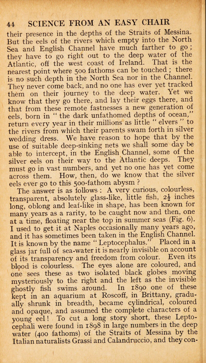 their presence in the depths of the Straits of Messina. But the eels of the rivers which empty into the North Sea and English Channel have much farther to go ; they have to go right out to the deep water of the Atlantic, off the west coast of Ireland. That is the nearest point where 500 fathoms can be touched ; there is no such depth in the North Sea nor in the Channel. They never come back, and no one has ever yet tracked them on their journey to the deep water. Yet we know that they go there, and lay their eggs there, and that from these remote fastnesses a new generation of eels, born in “ the dark unfathomed depths of ocean,” return every year in their millions as little “ elvers ” to the rivers from which their parents swam forth in silver wedding dress. We have reason to hope that by the use of suitable deep-sinking nets we shall some day be able to intercept, in the English Channel, some of the silver eels on their way to the Atlantic deeps. They must go in vast numbers, and yet no one has yet come across them. How, then, do we know that the silver eels ever go to this 500-fathom abysm ? The answer is as follows : A very curious, colourless, transparent, absolutely glass-like, little fish, 2\ inches long, oblong and leaf-like in shape, has been known for many years as a rarity, to be caught now and then, one at a time, floating near the top in summer seas (Fig. 6). I used to get it at Naples occasionally many years ago, and it has sometimes been taken in the English Channel. It is known by the name “ Leptocephalus.” Placed in a glass jar full of sea-water it is nearly invisible on account of its transparency and freedom from colour. Even its blood is colourless. The eyes alone are coloured, and one sees these as two isolated black globes moving mysteriously to the right and the left as the invisible ghostly fish swims around. In 1890 one of these kept in an aquarium at Roscoff, in Brittany, gradu¬ ally shrunk in breadth, became cylindrical, coloured and opaque, and assumed the complete characters of a young eel! To cut a long story short, these Lepto- cephali were found in 1898 in large numbers in the deep water (400 fathoms) of the Straits of Messina by the Italian naturalists Grassi and Calandruccio, and they con-